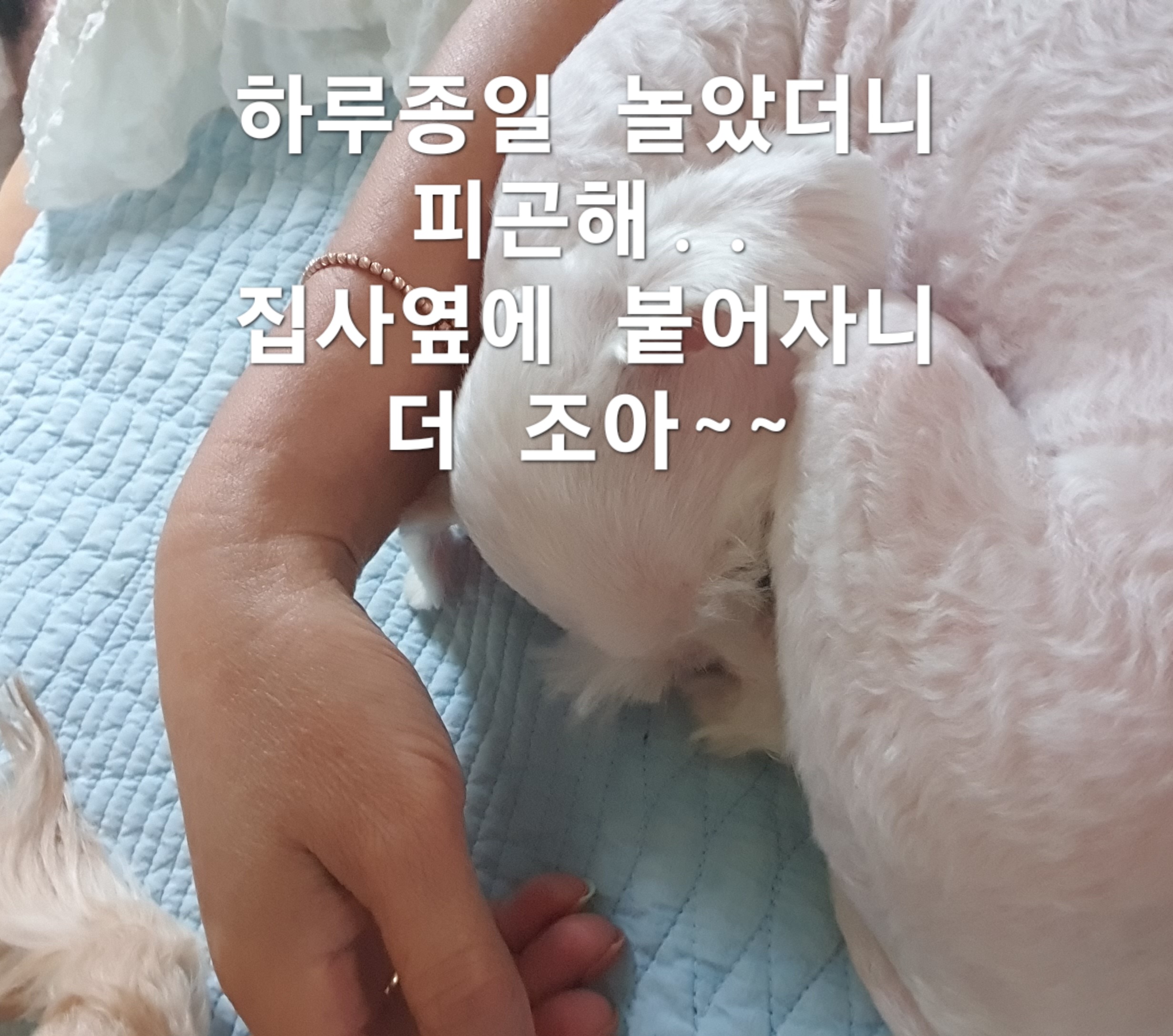 이미지 10