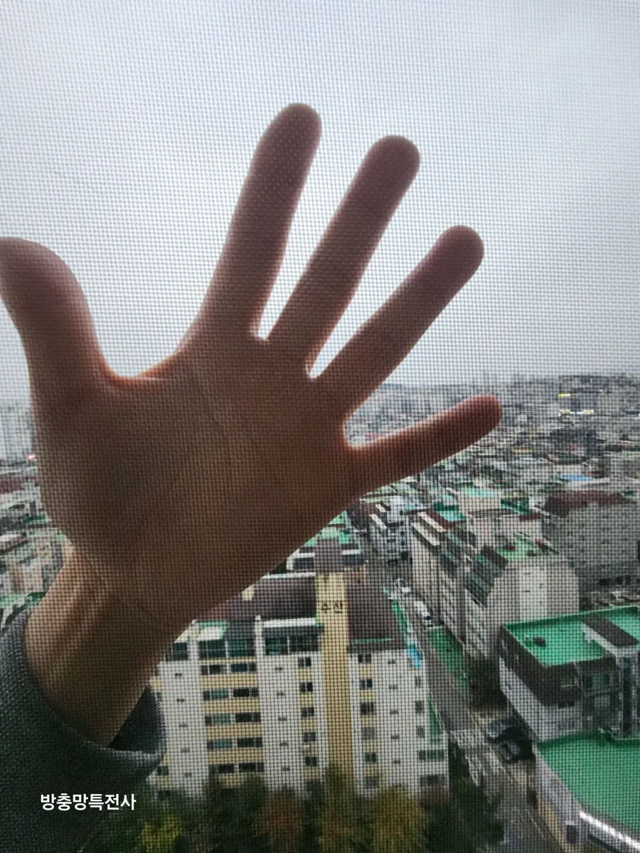 이미지 12