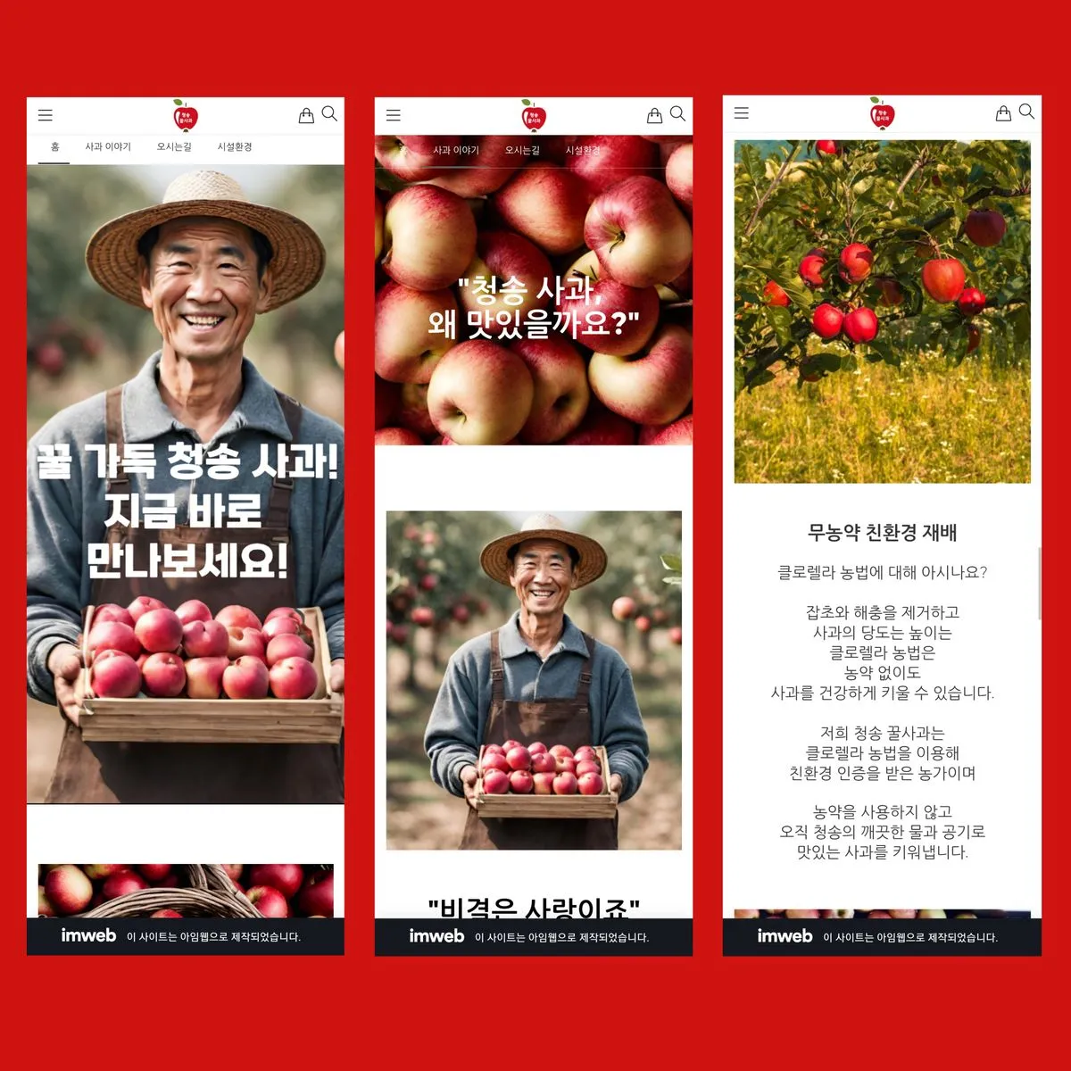 포트폴리오 이미지