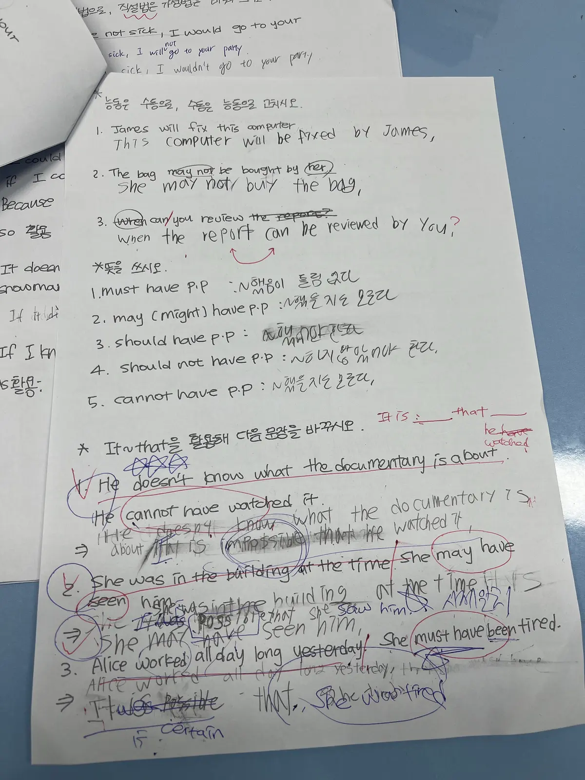 이미지 5