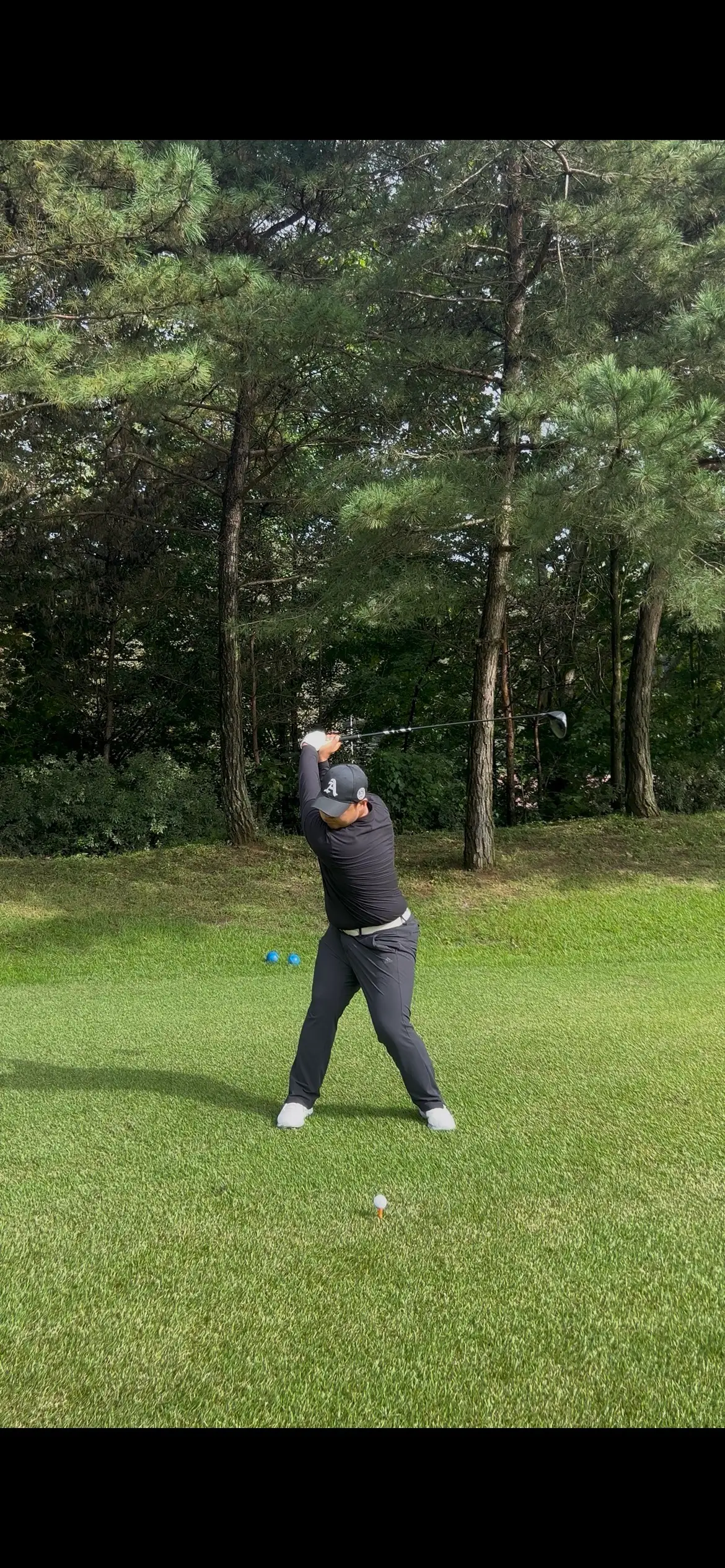 이미지 4