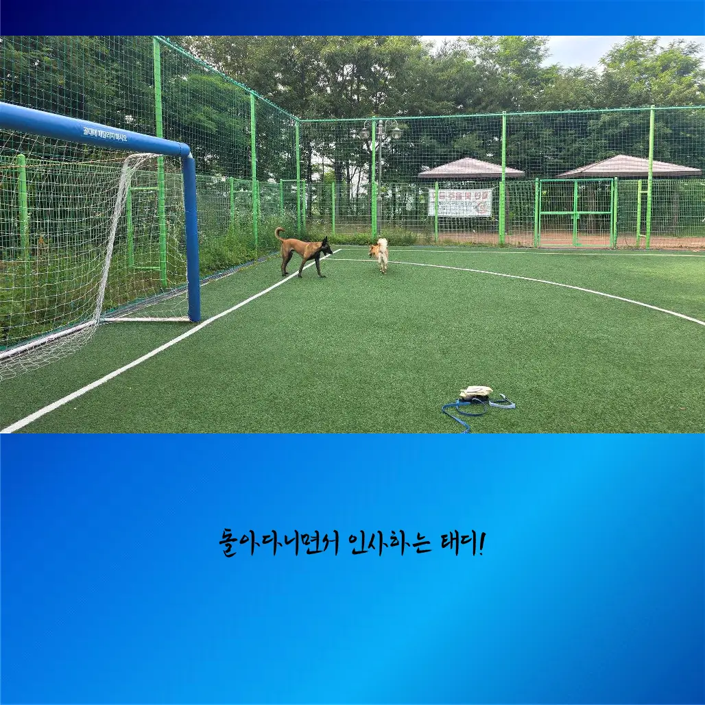 이미지 12