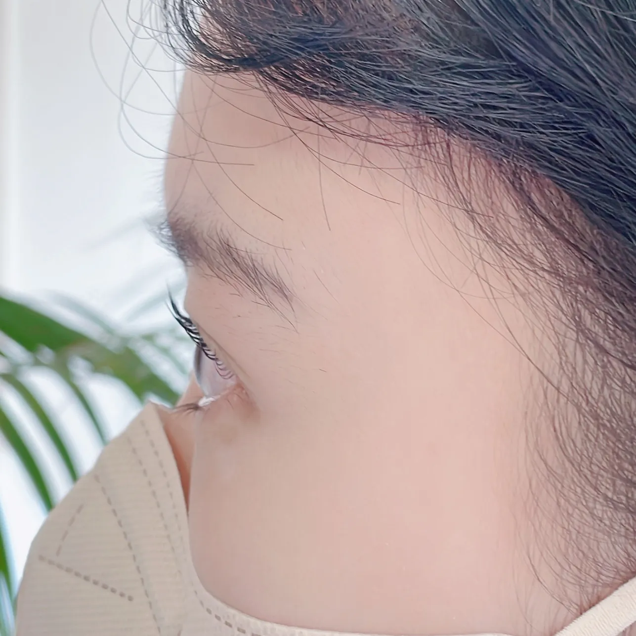이미지 3
