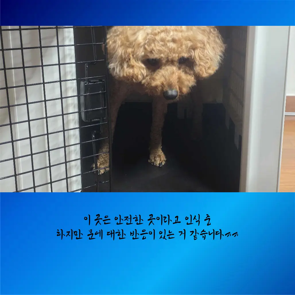 이미지 10