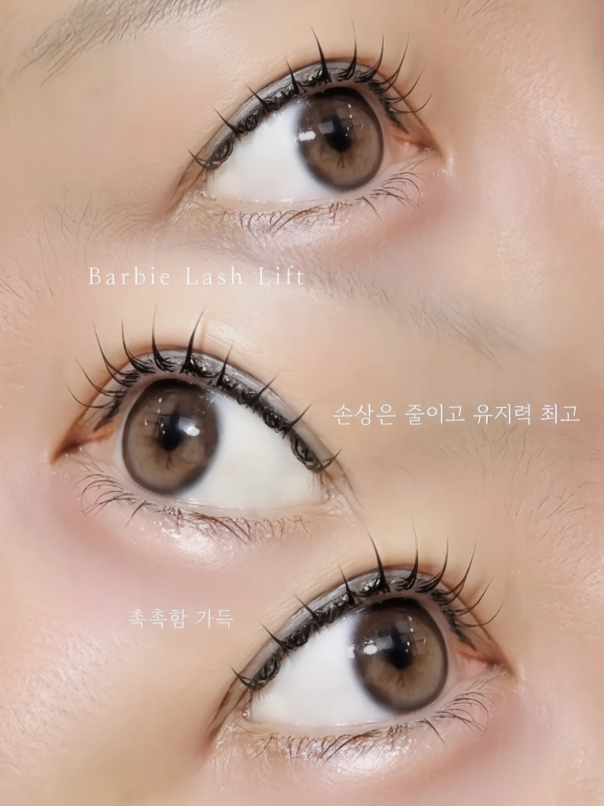 이미지 8