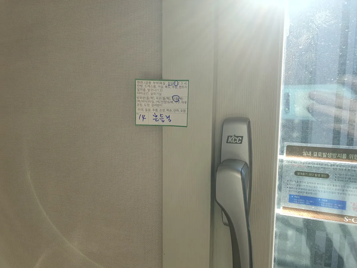 이미지 11