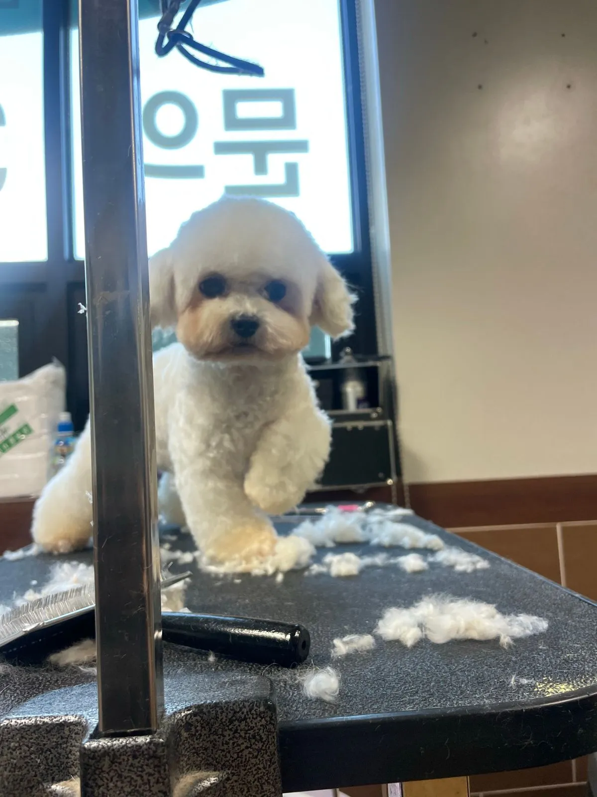 이미지 4