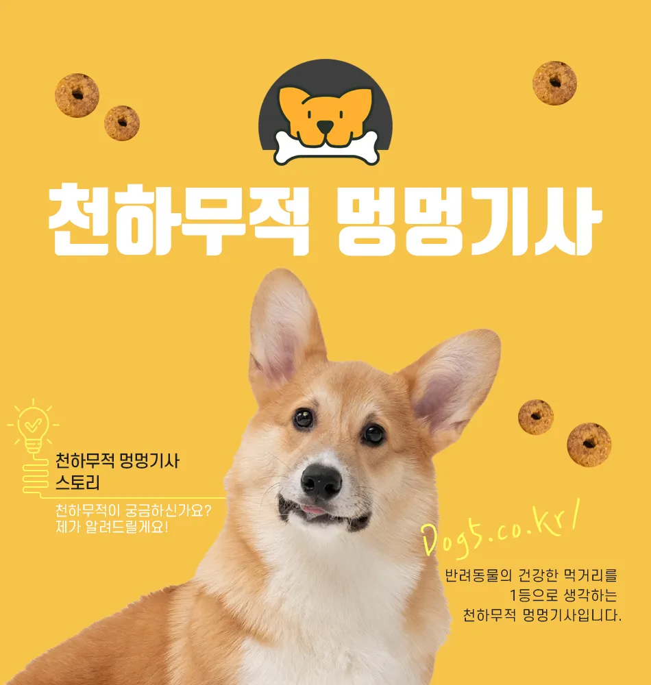 이미지 5