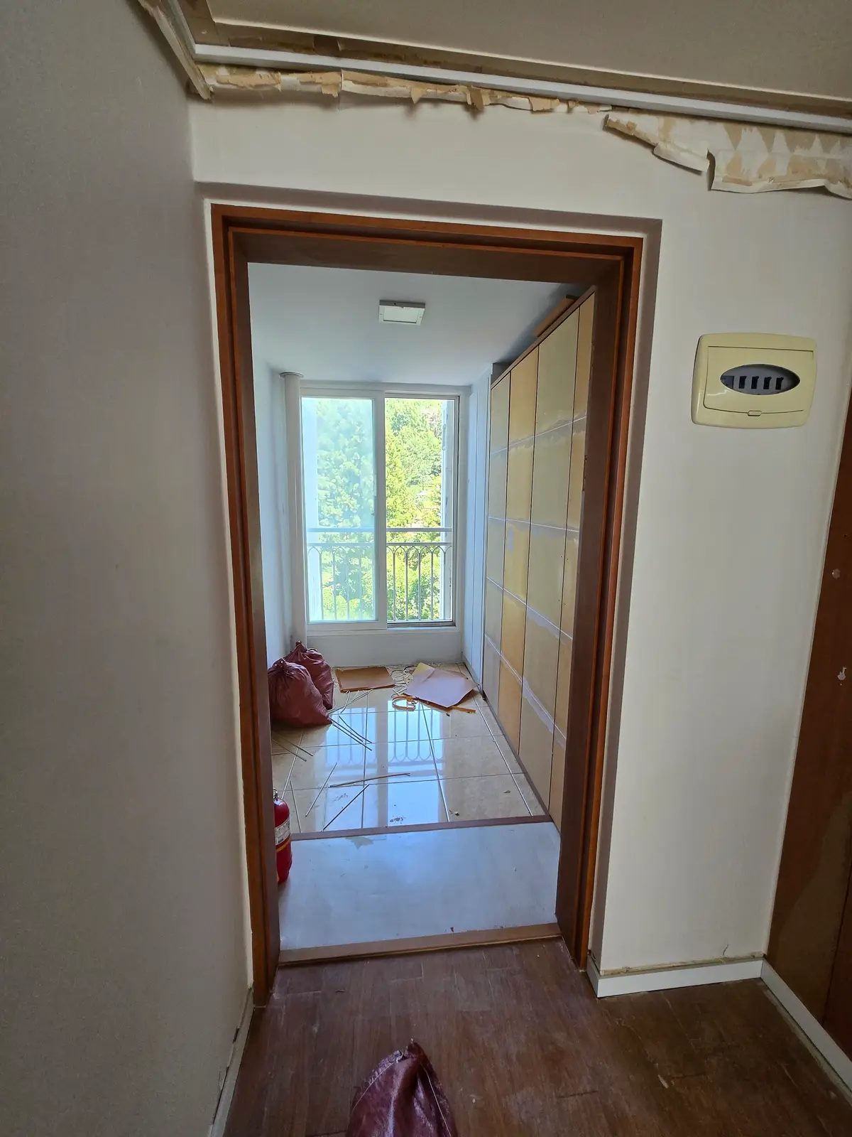 이미지 4