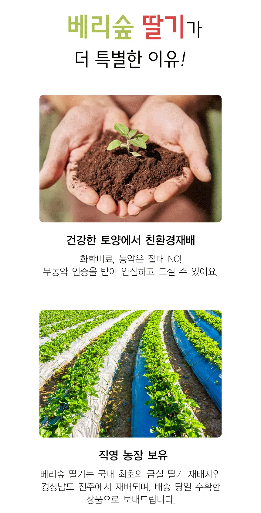 이미지 7