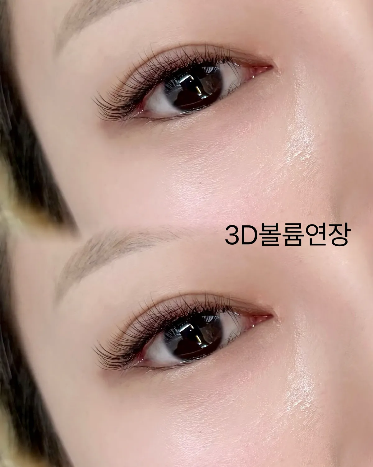이미지 2