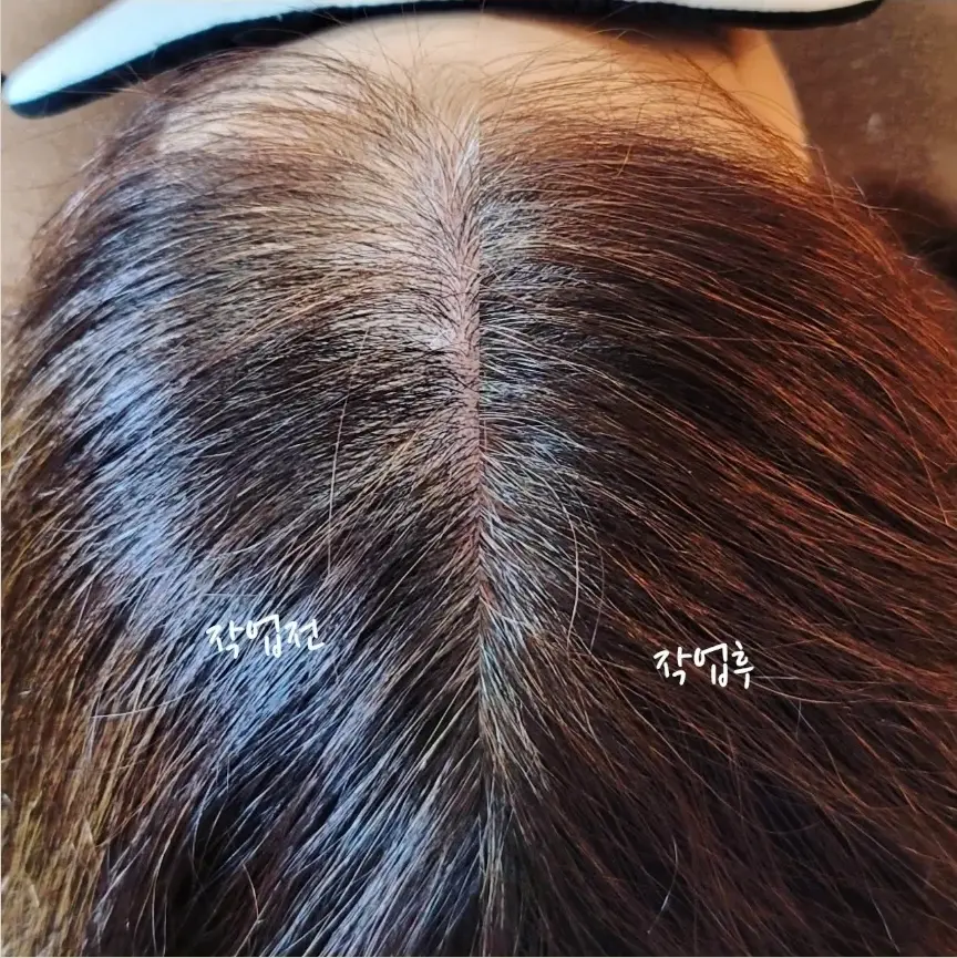 이미지 4