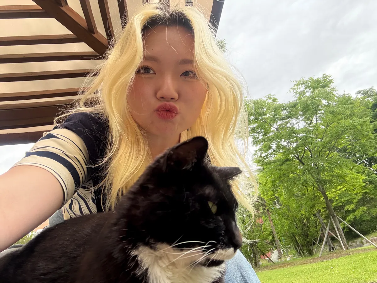 이미지 3