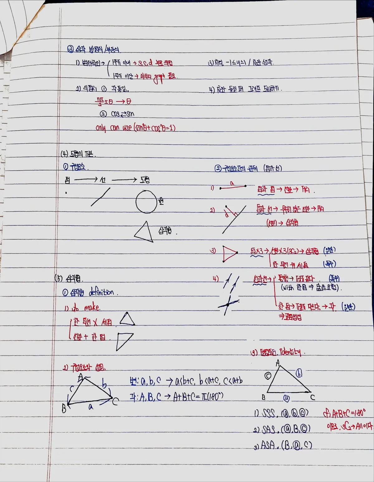 이미지 5