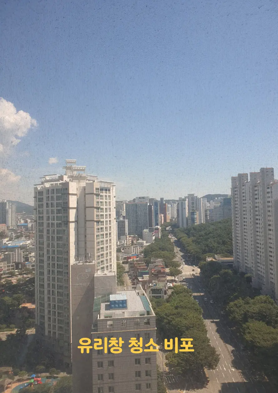 이미지 8