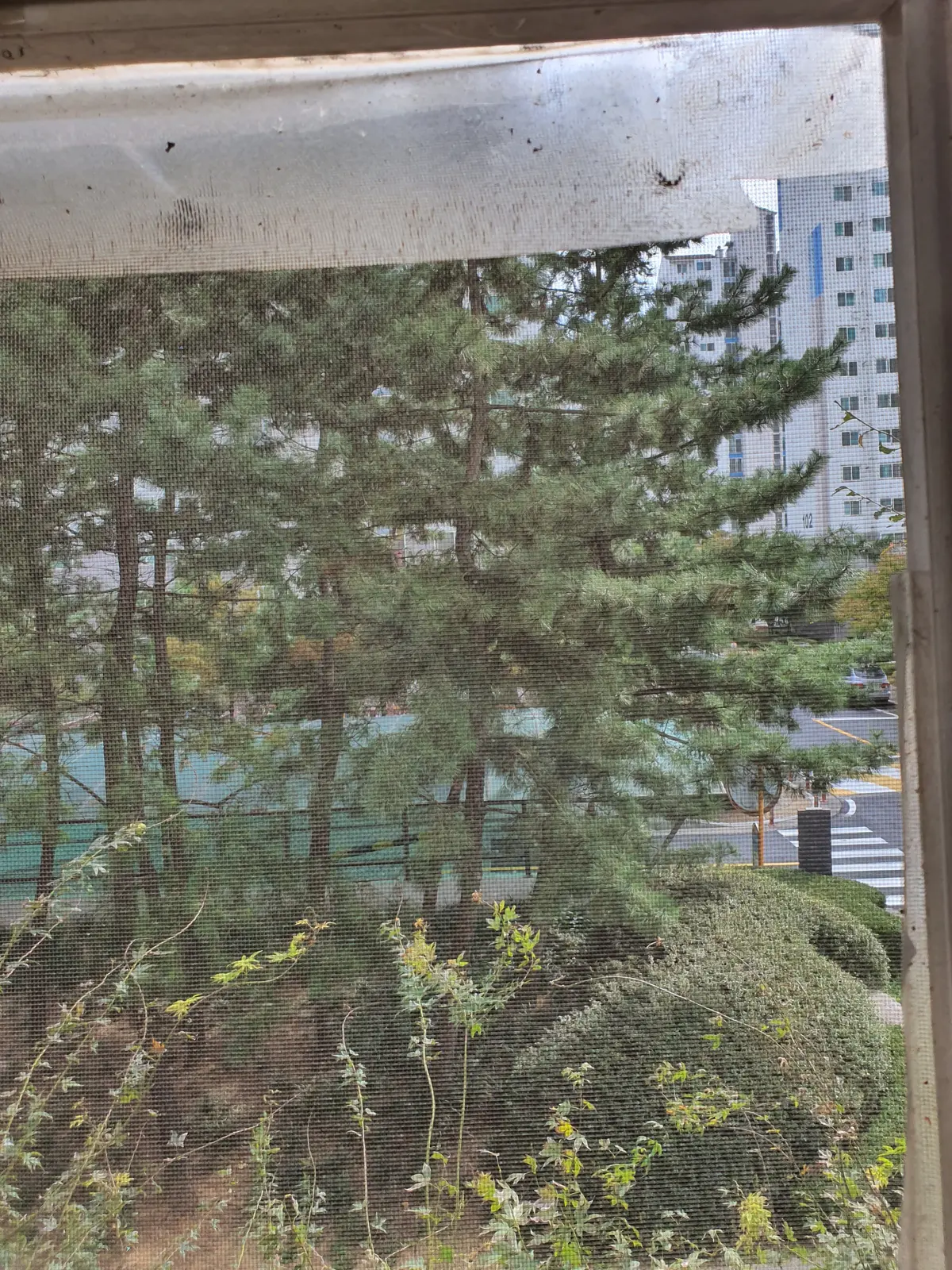 이미지 28