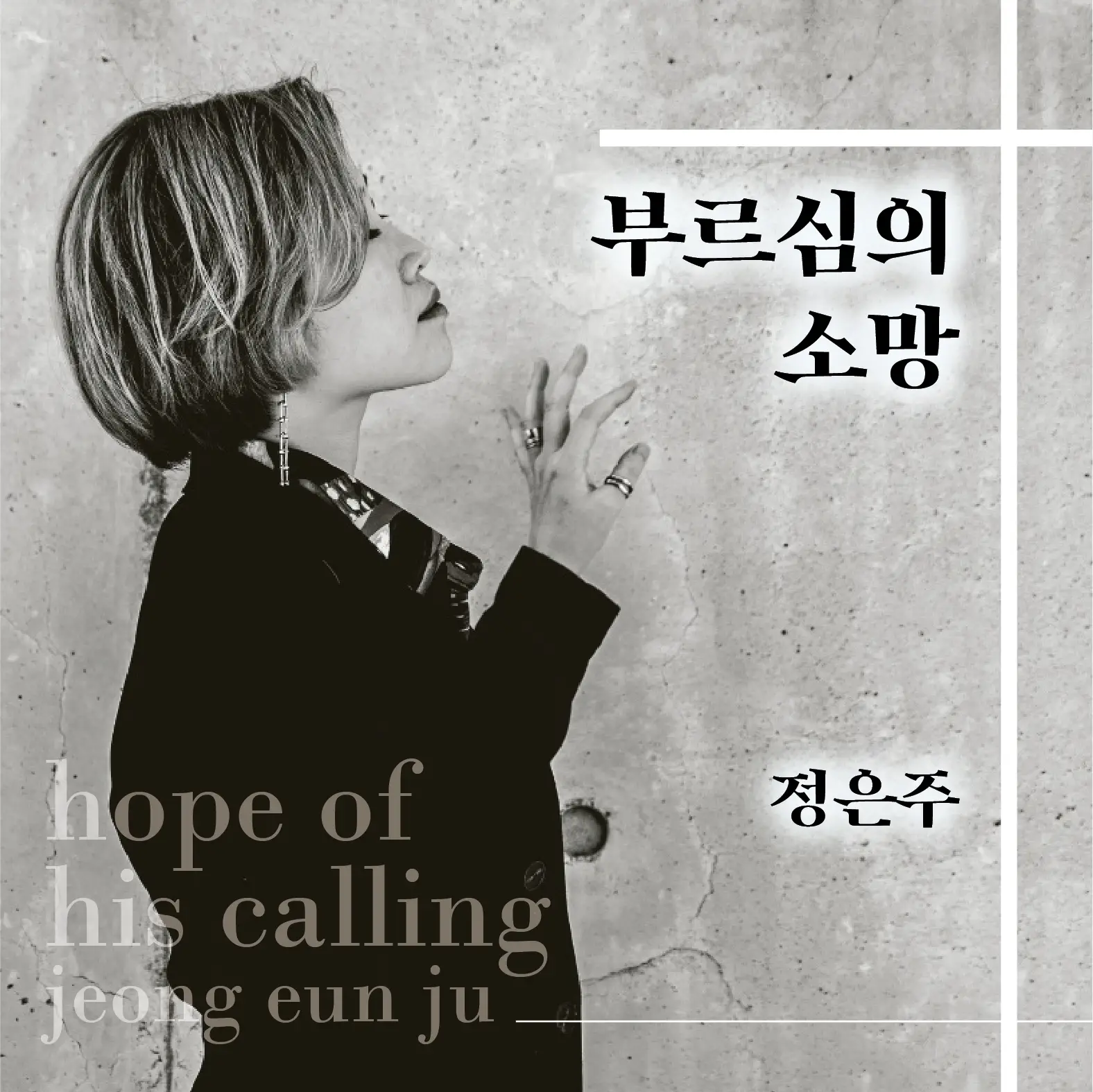 이미지 5