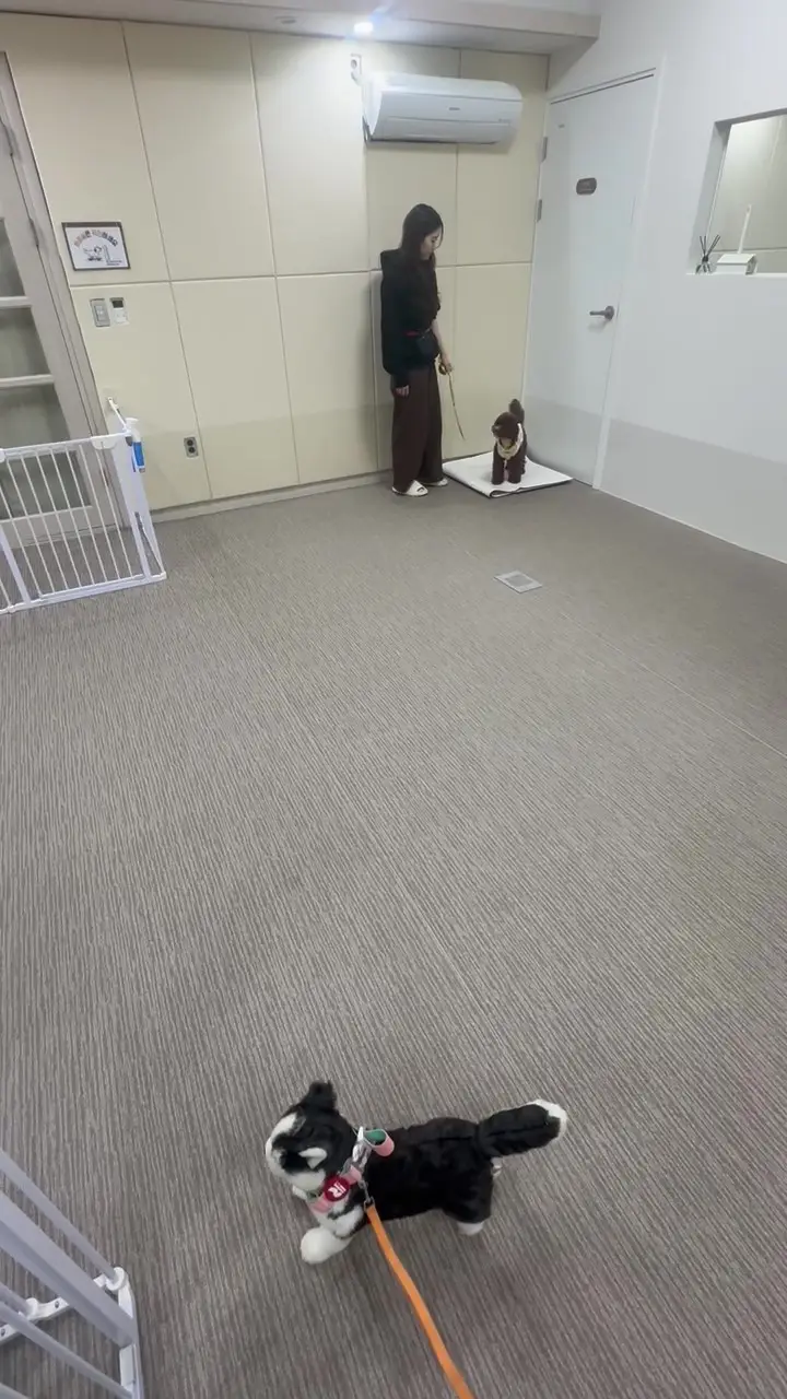 이미지 7