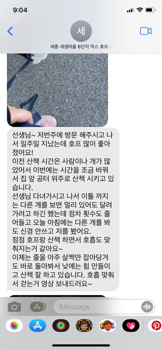 이미지 10