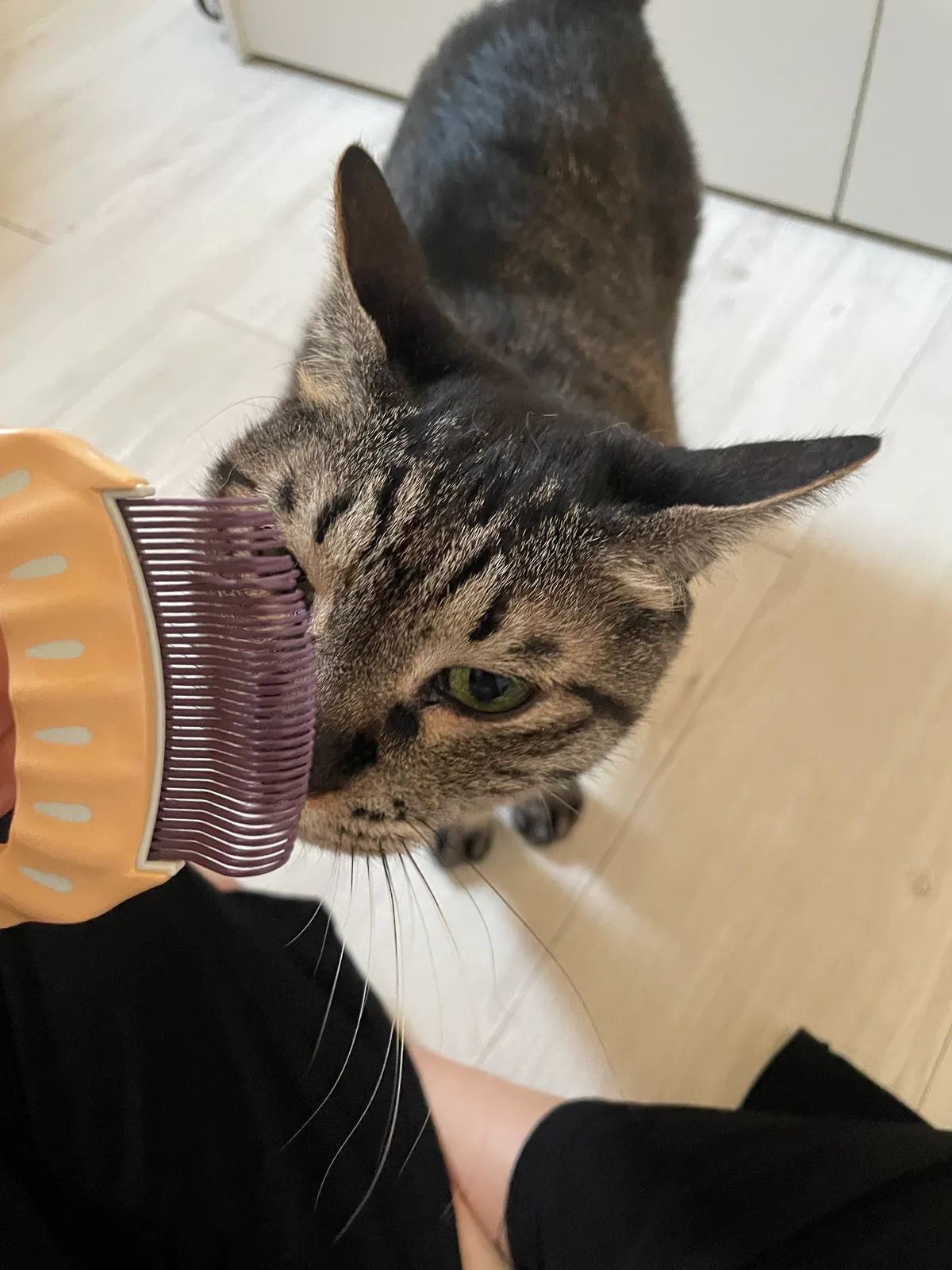 이미지 9