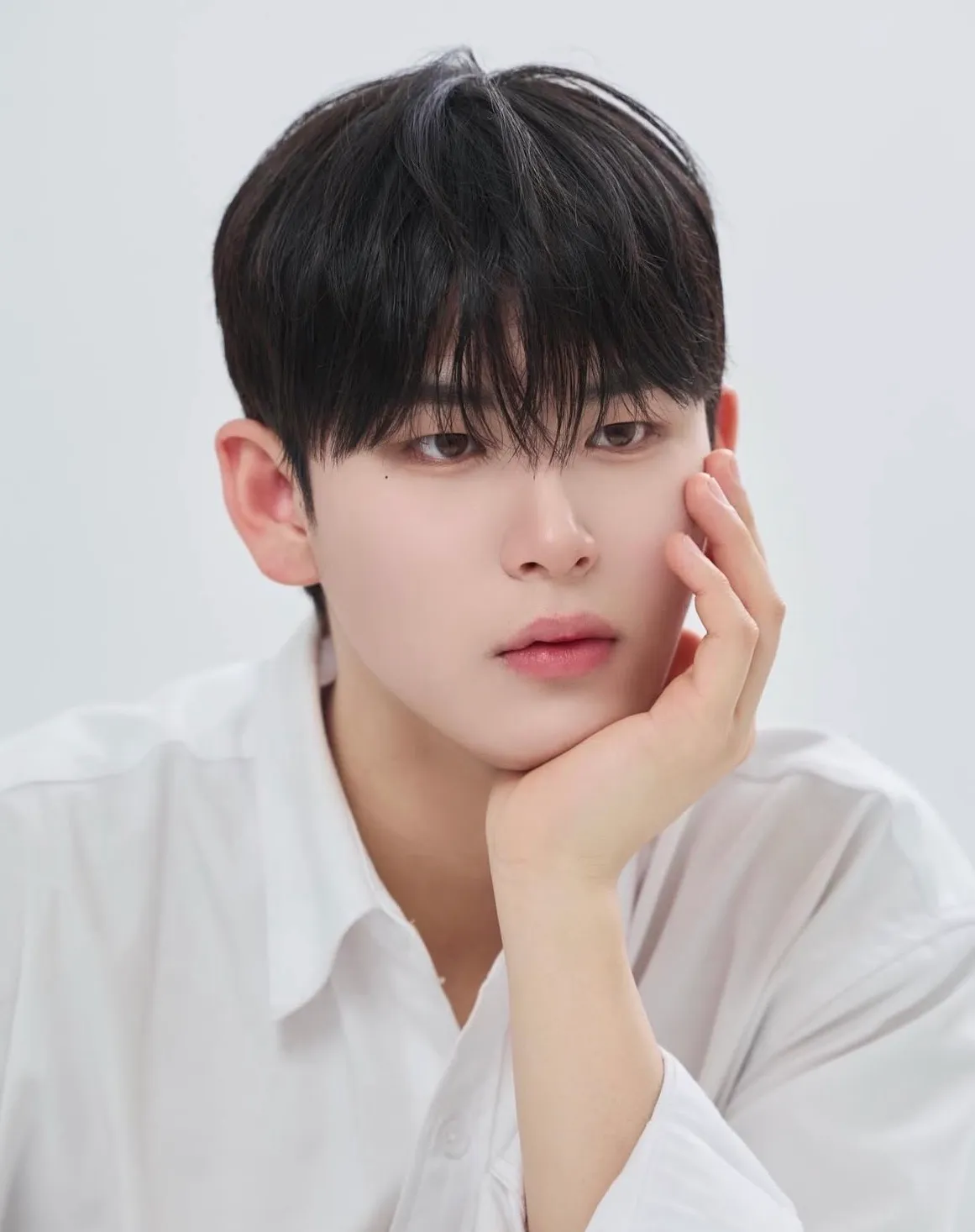 이미지 16