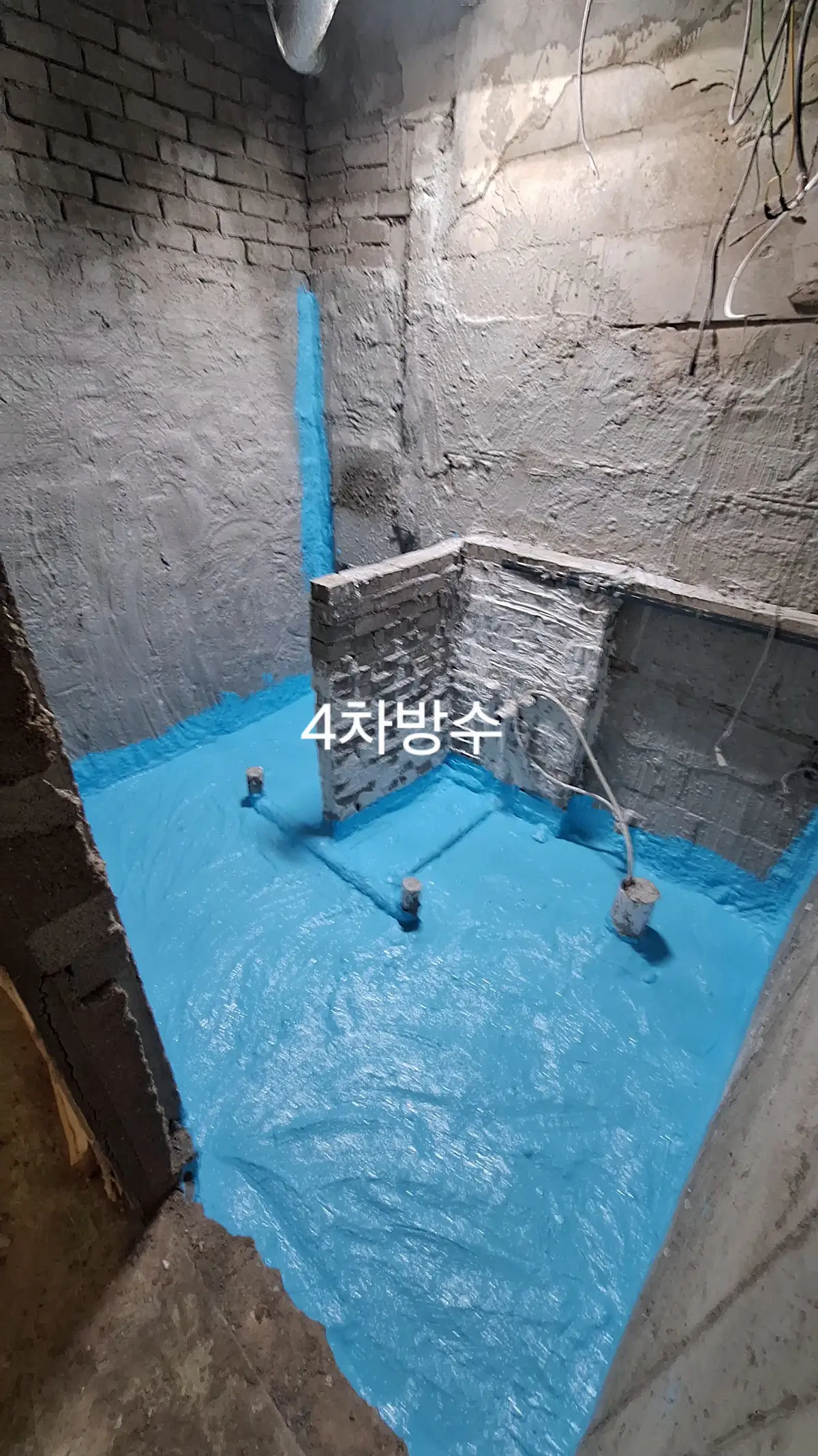 이미지 10