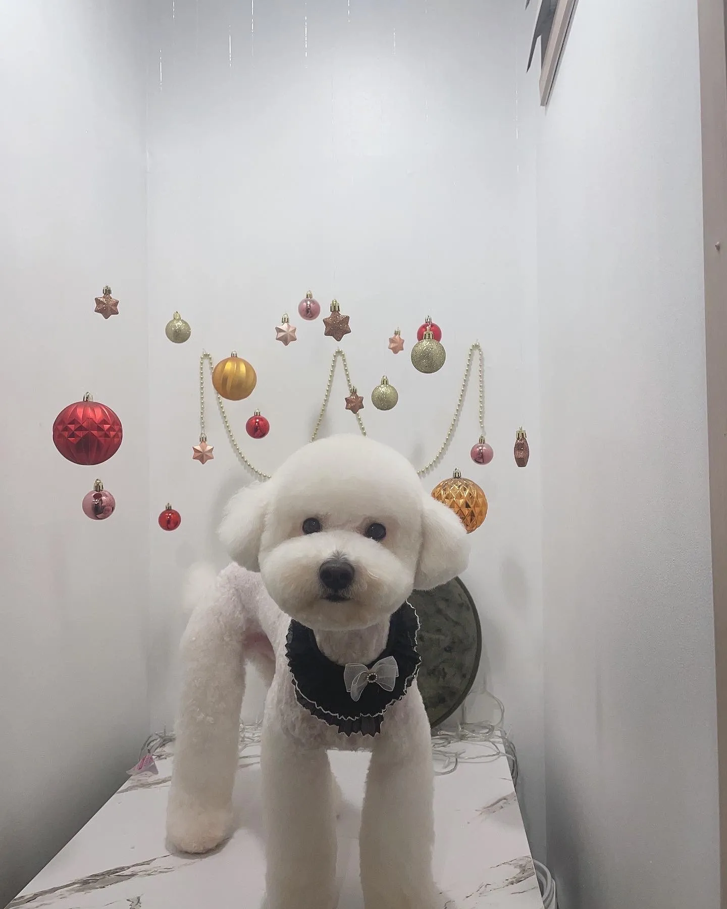 이미지 5