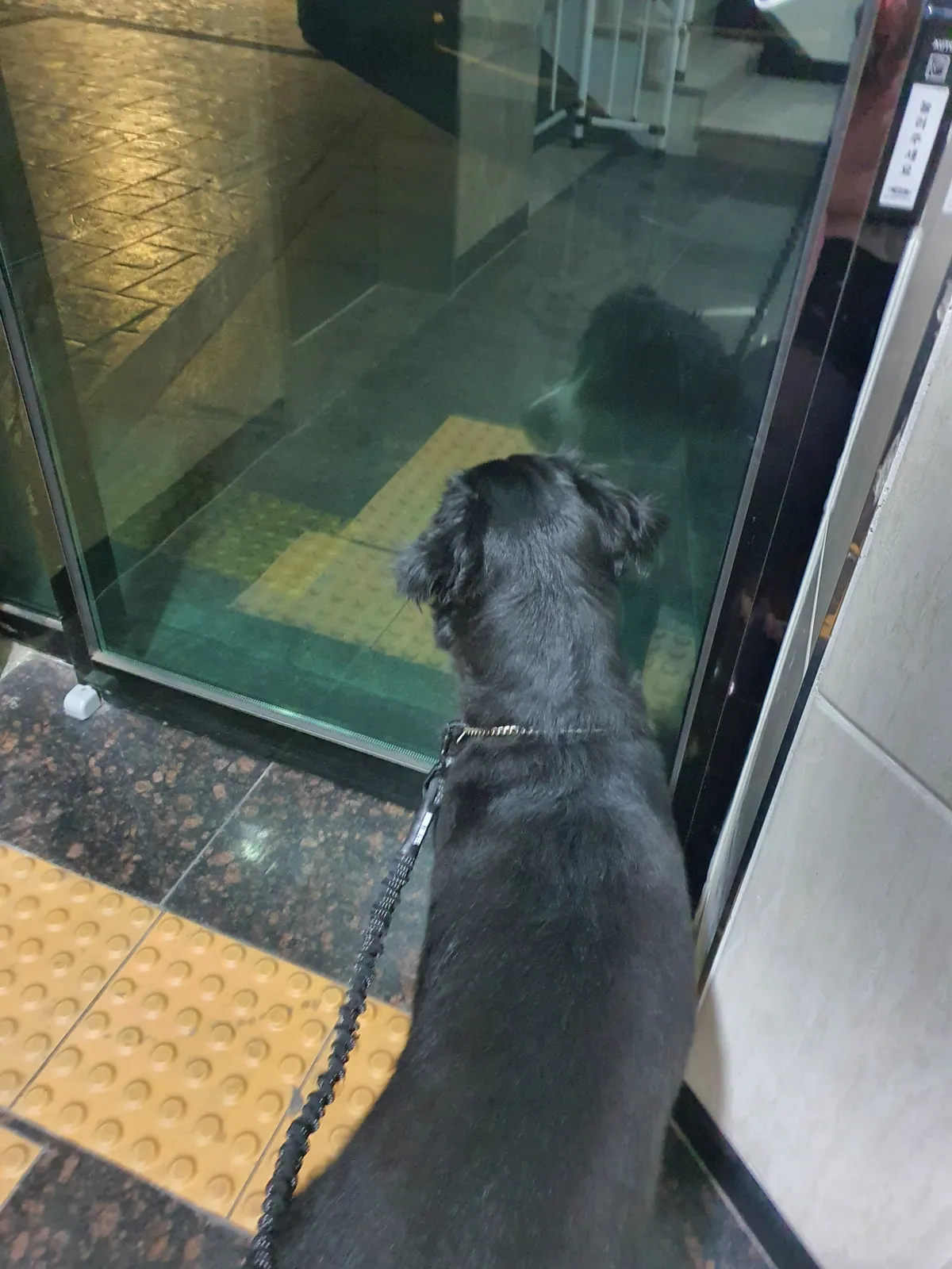 이미지 8
