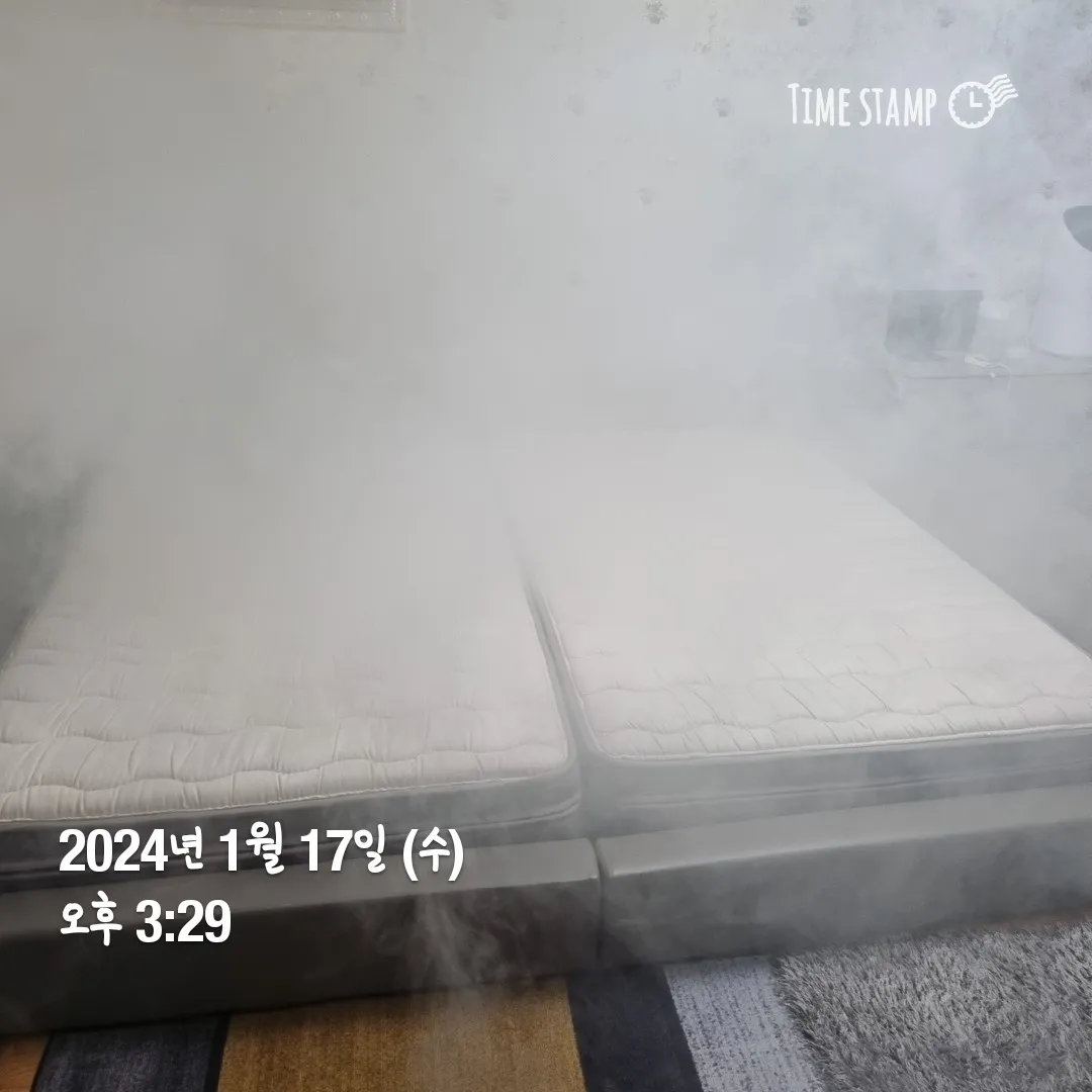이미지 7