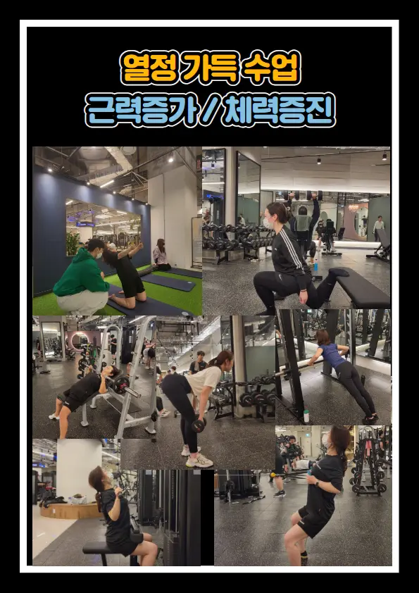이미지 12