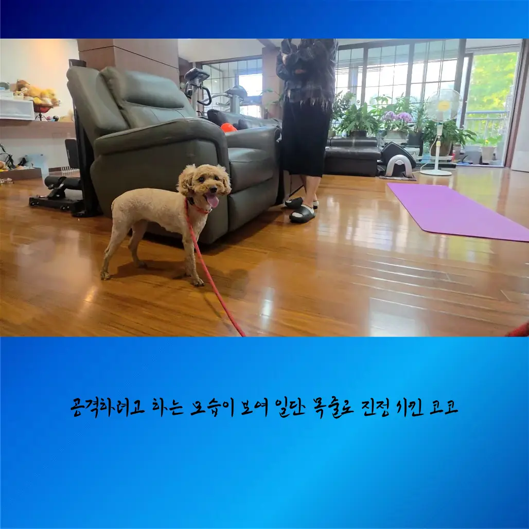 이미지 8