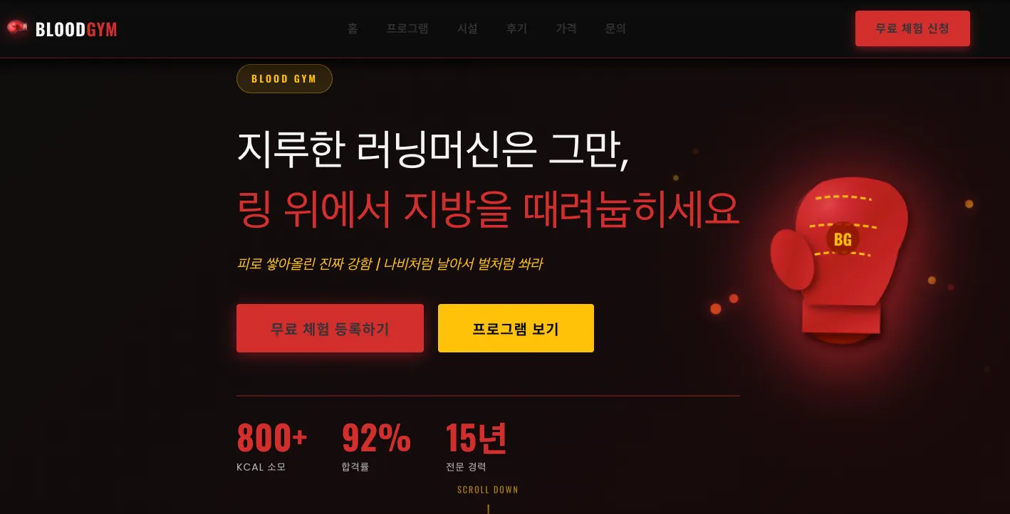 포트폴리오 이미지