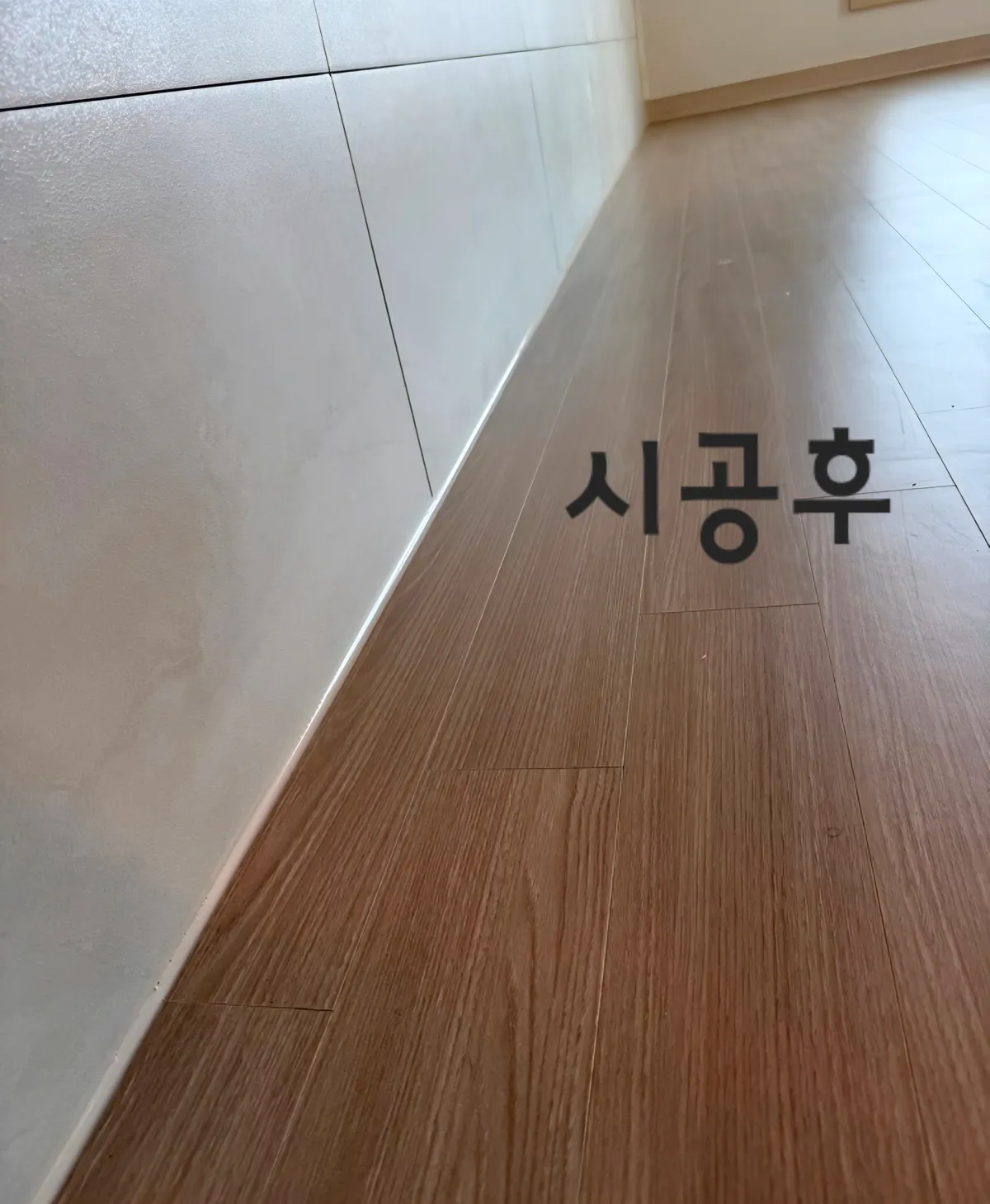 이미지 24