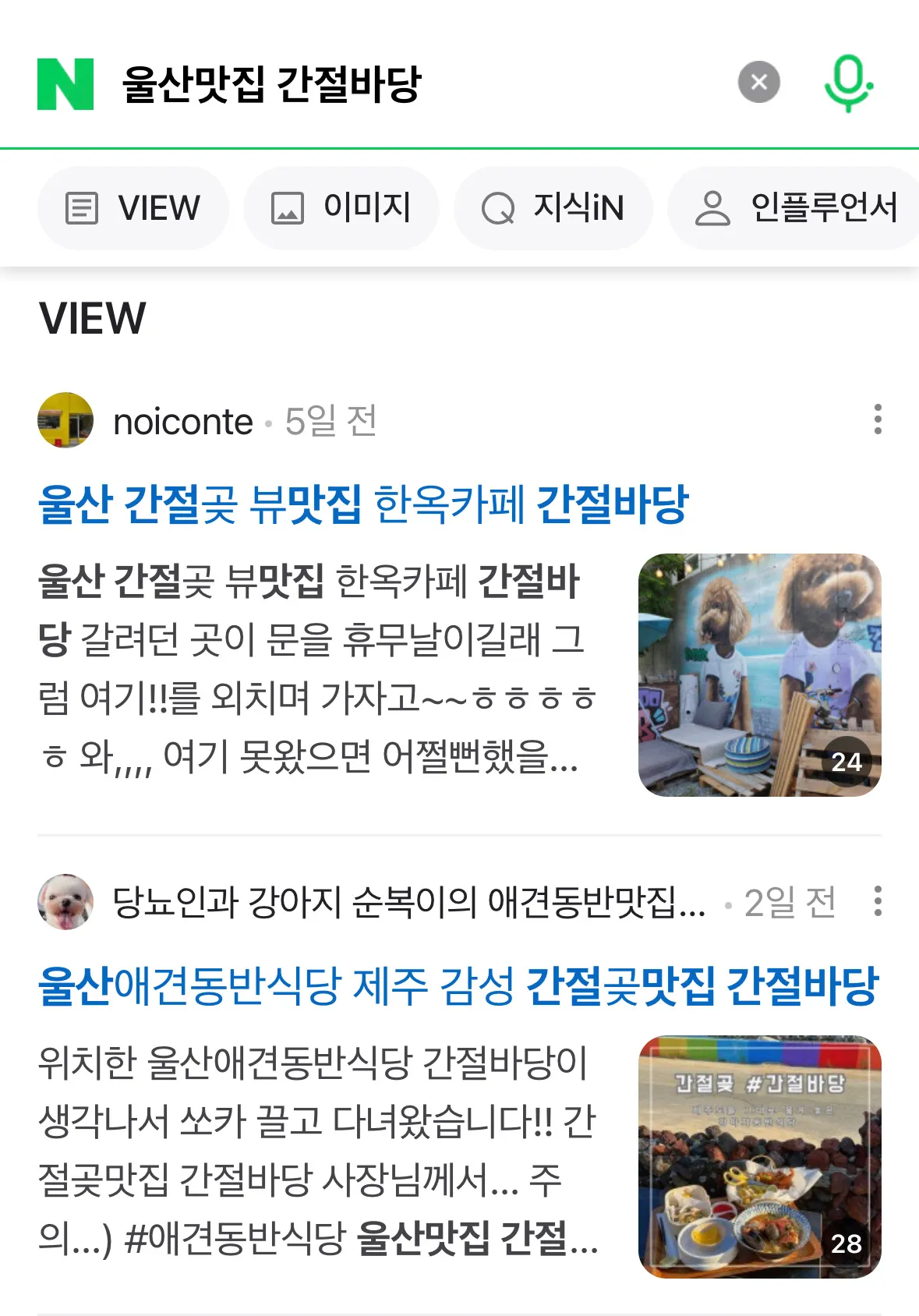 포트폴리오 이미지