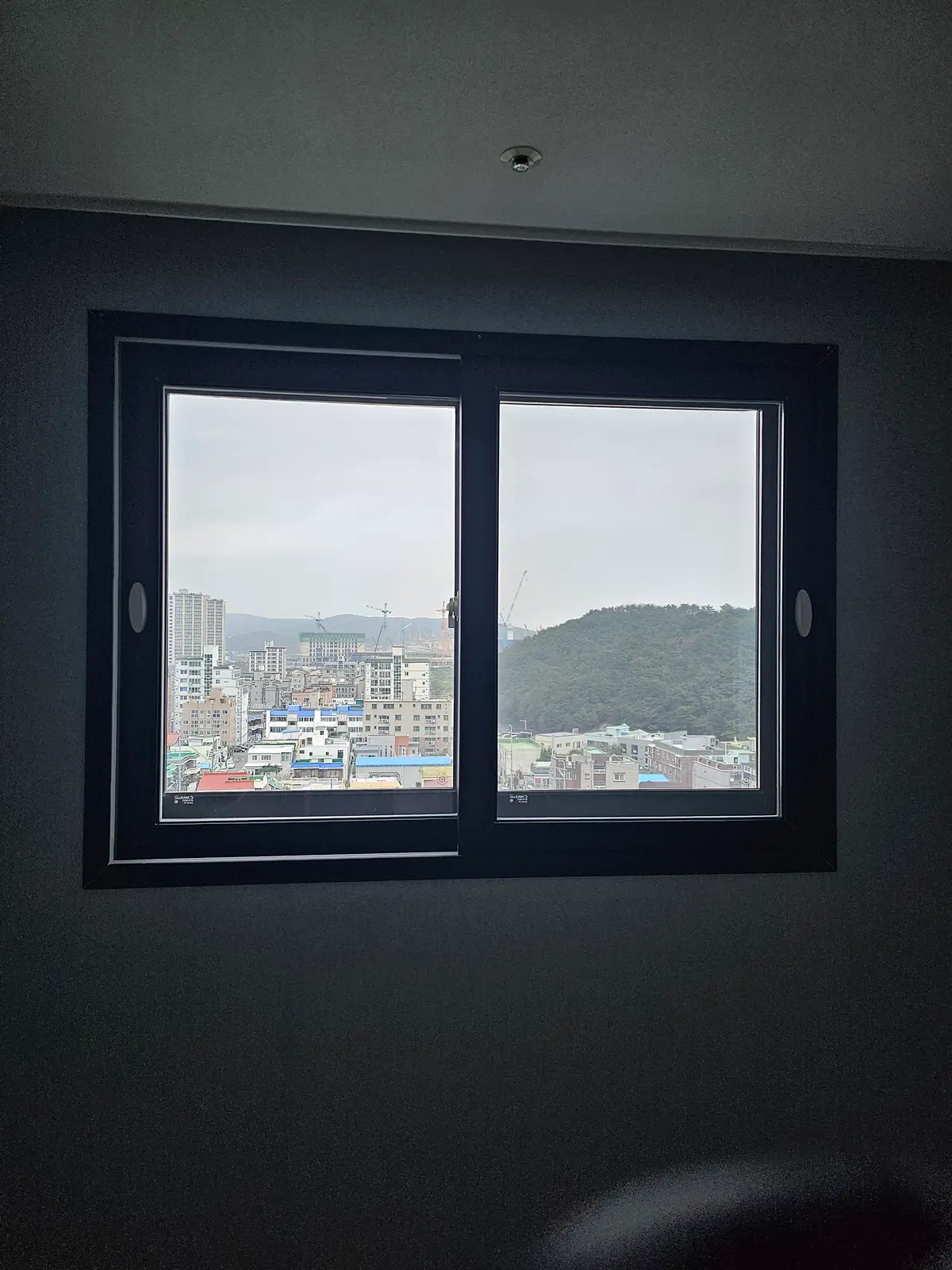 이미지 7
