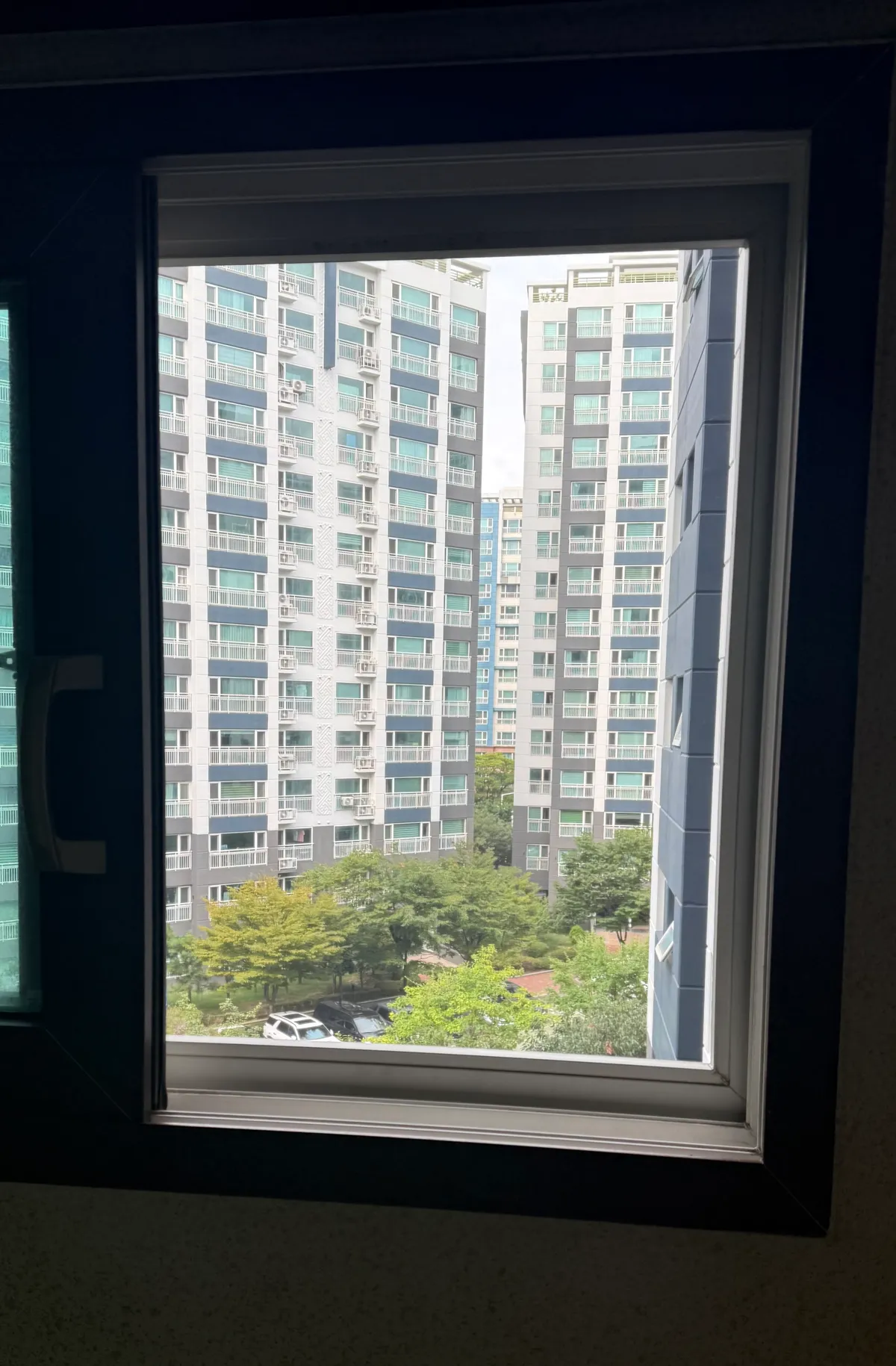 이미지 14