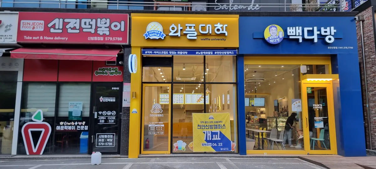 이미지 12