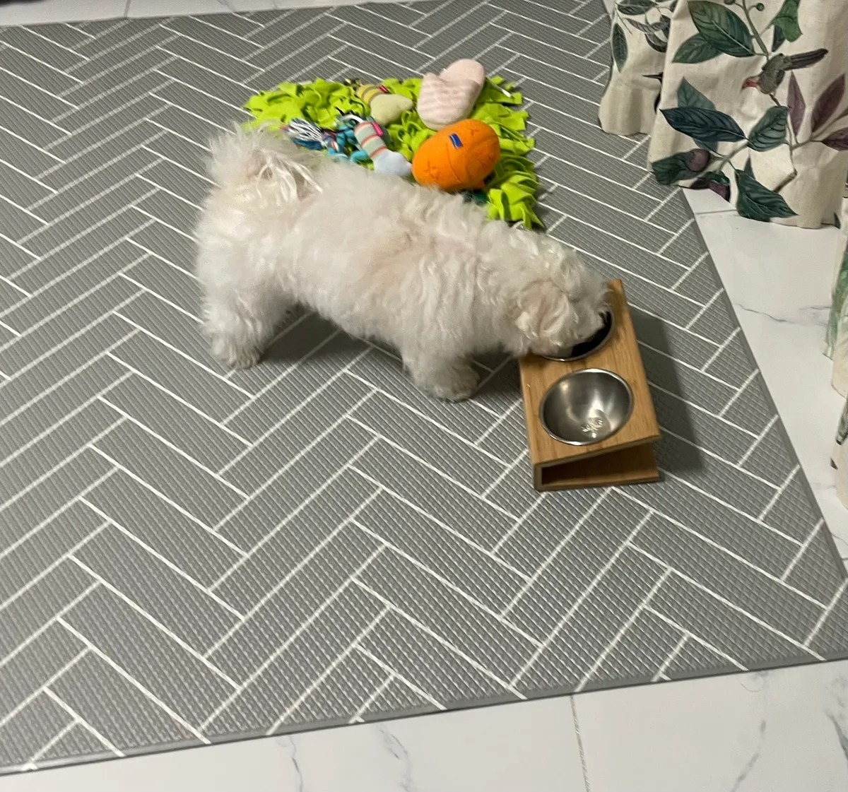 이미지 8