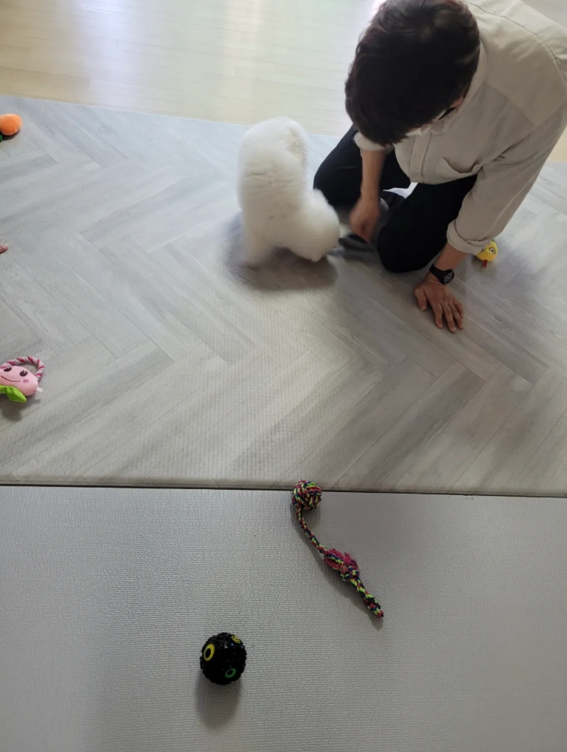이미지 4