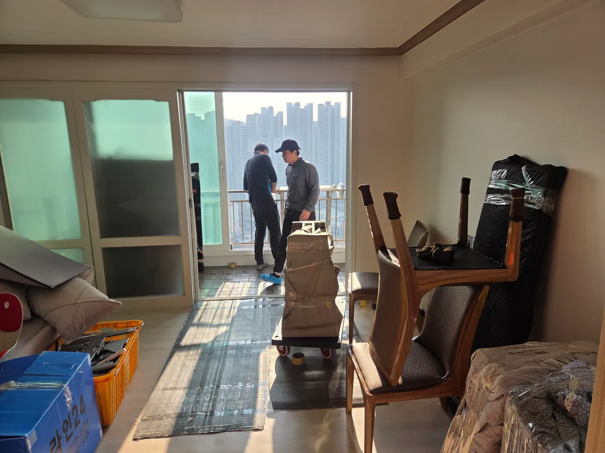 이미지 7