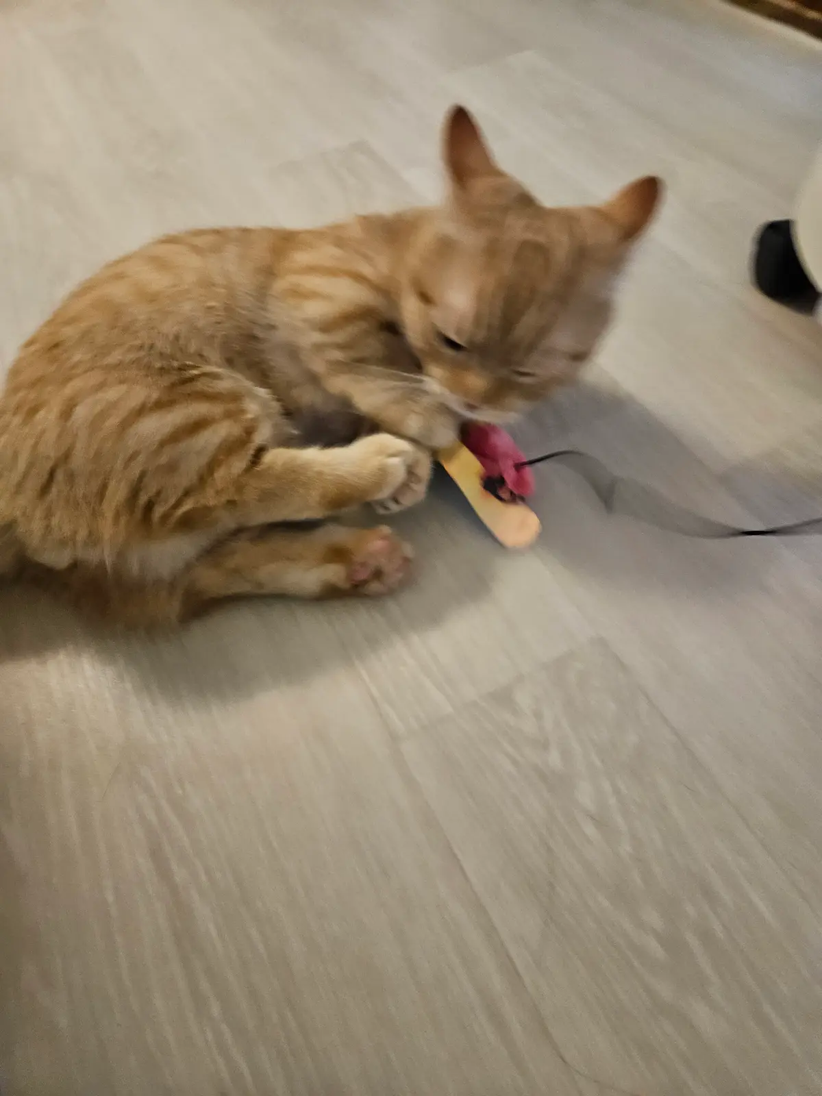 이미지 5