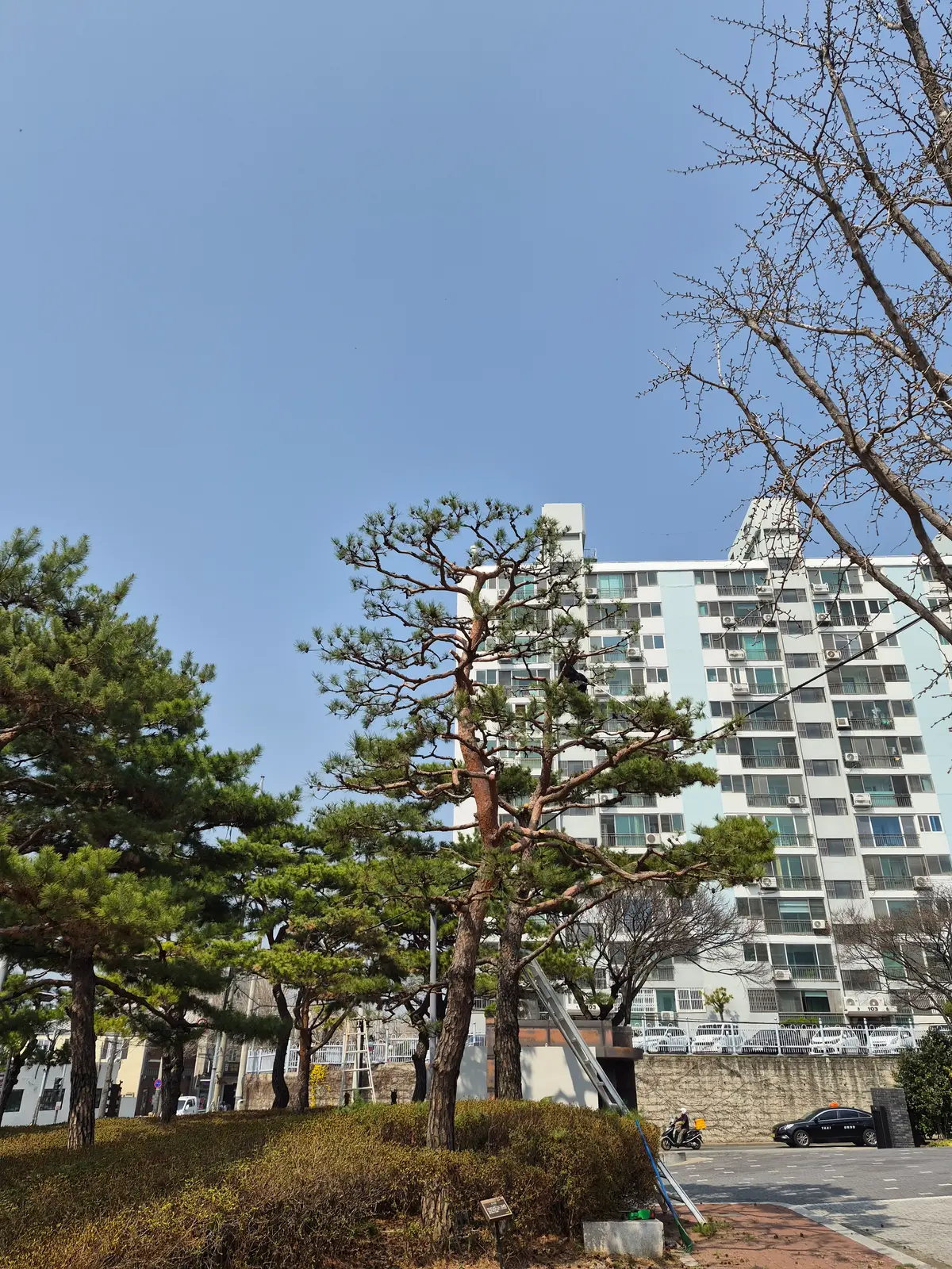 이미지 7