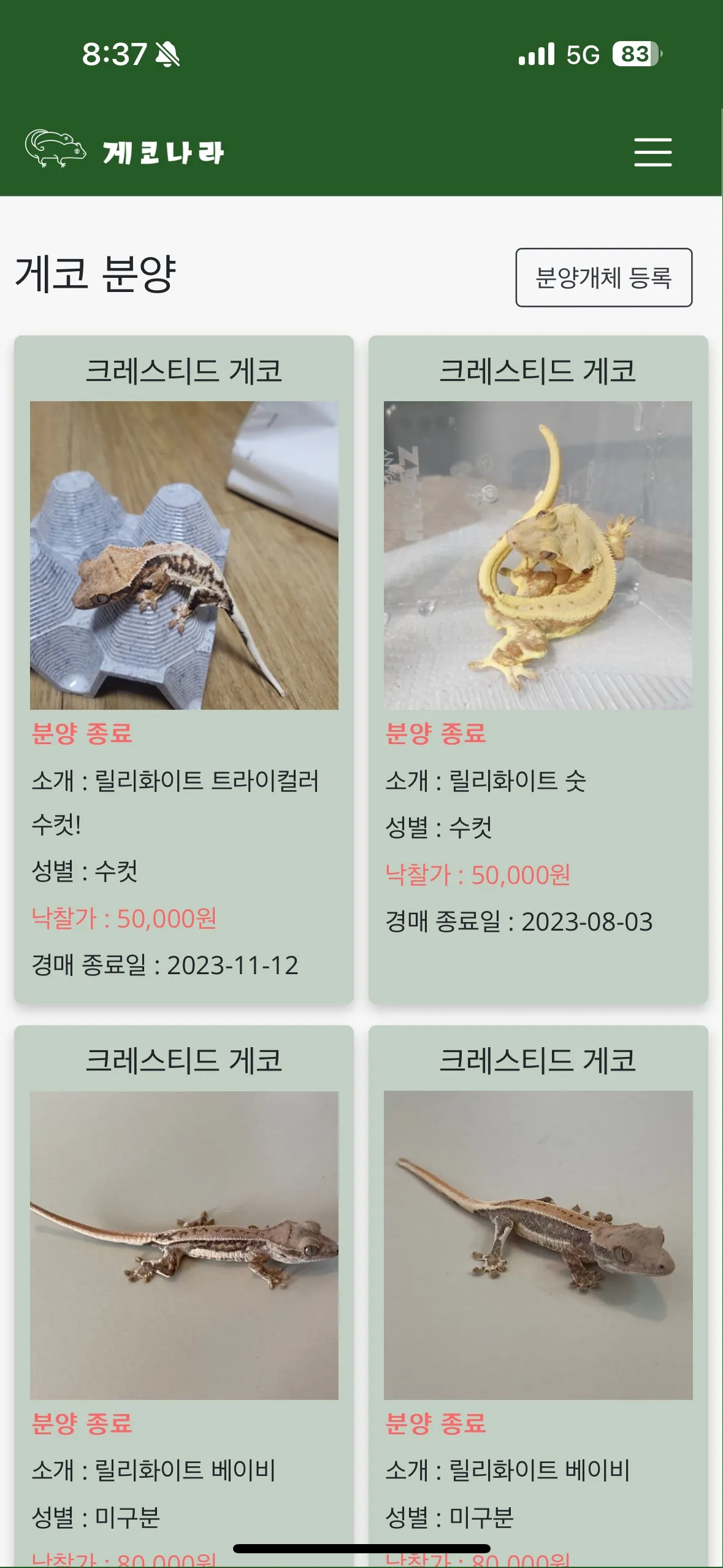 이미지 4