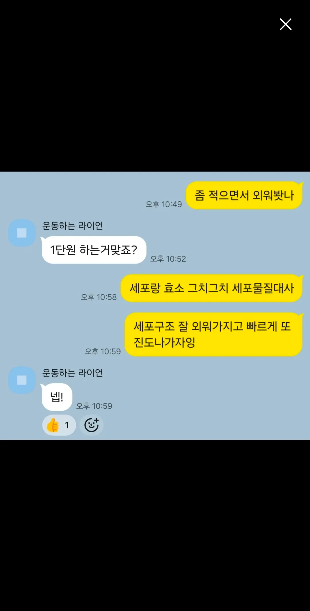 이미지 6