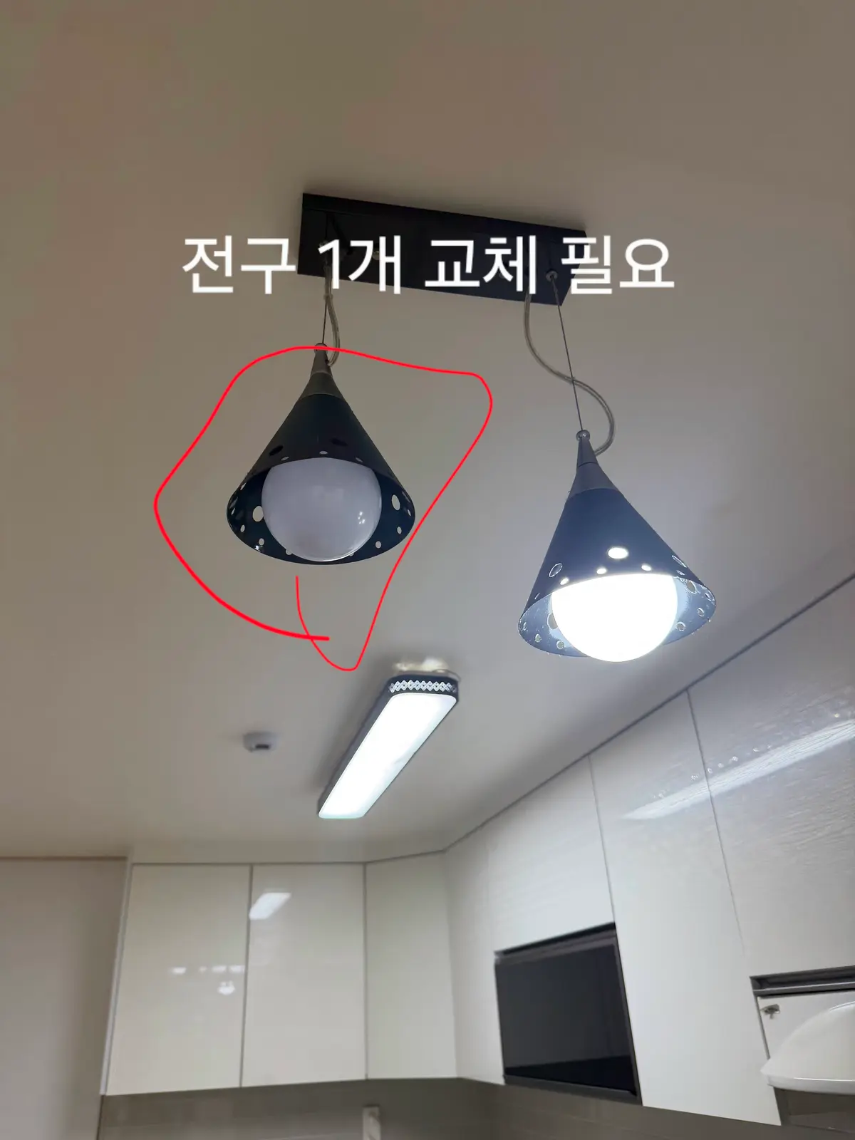 이미지 14