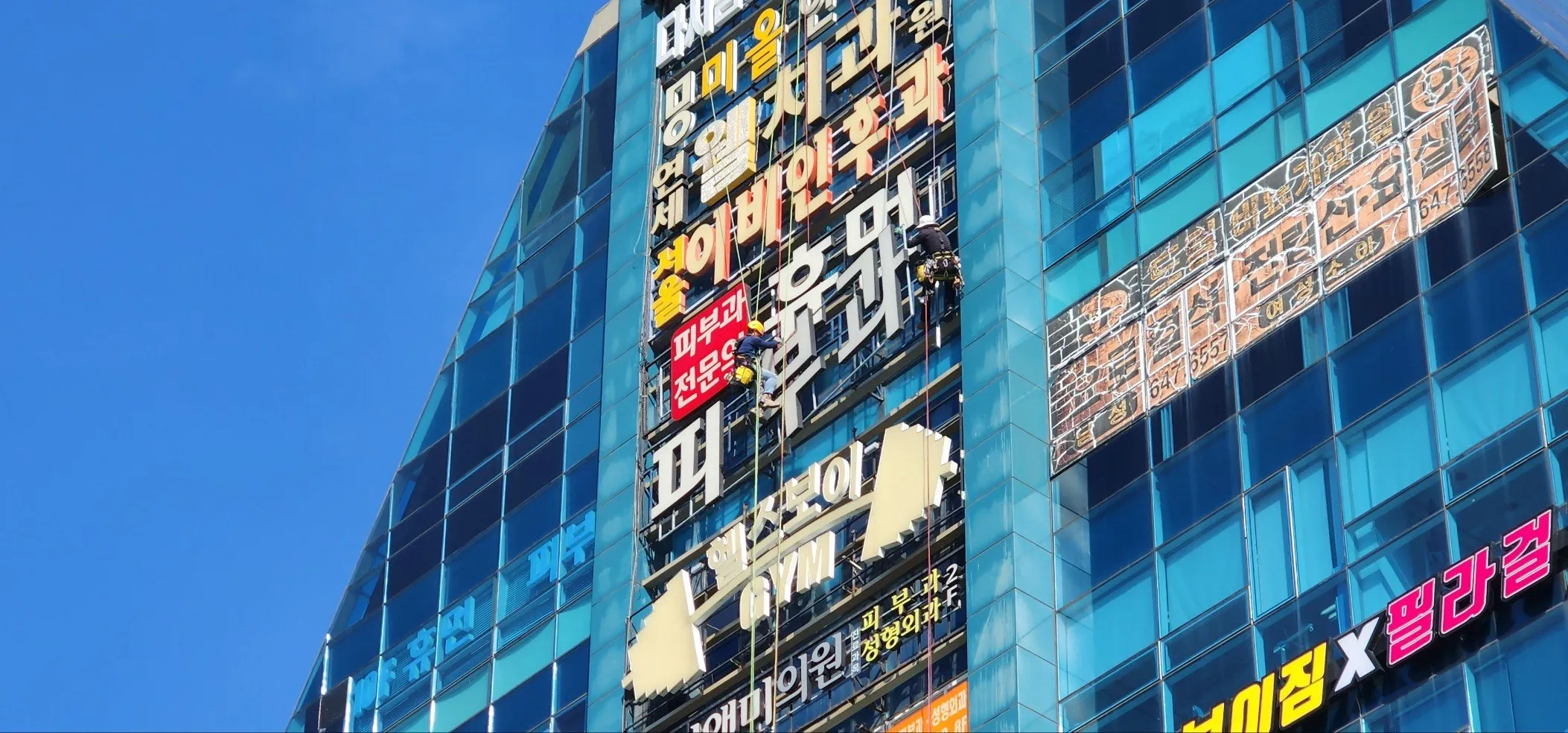 이미지 4