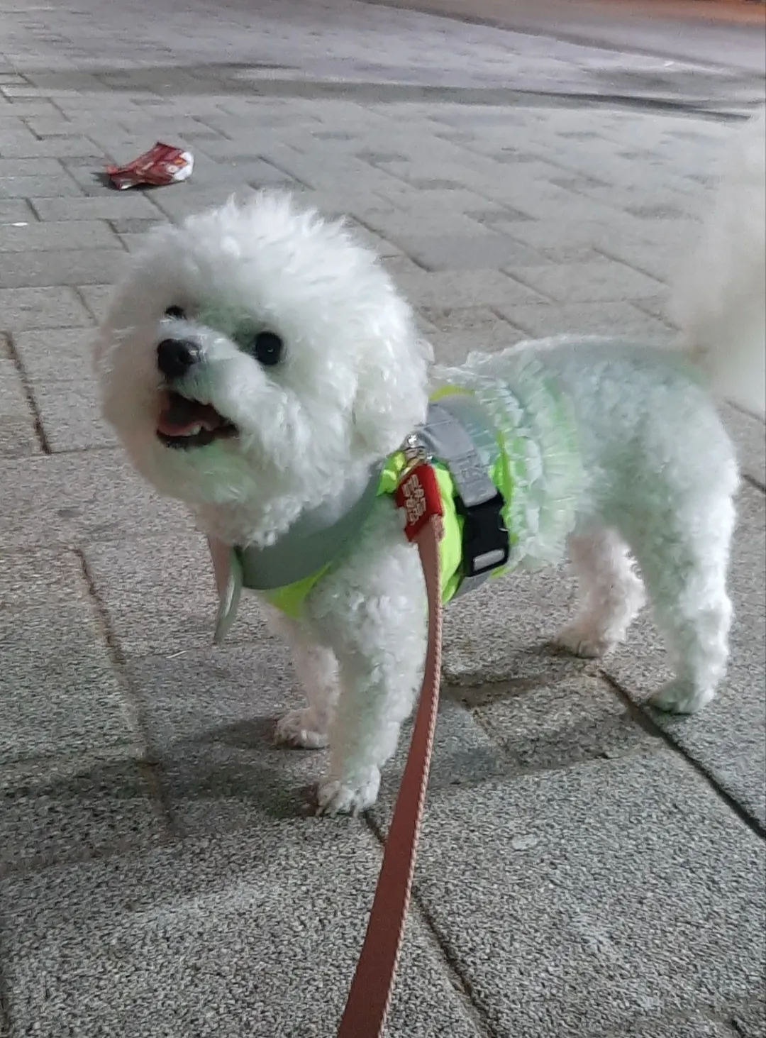 이미지 7