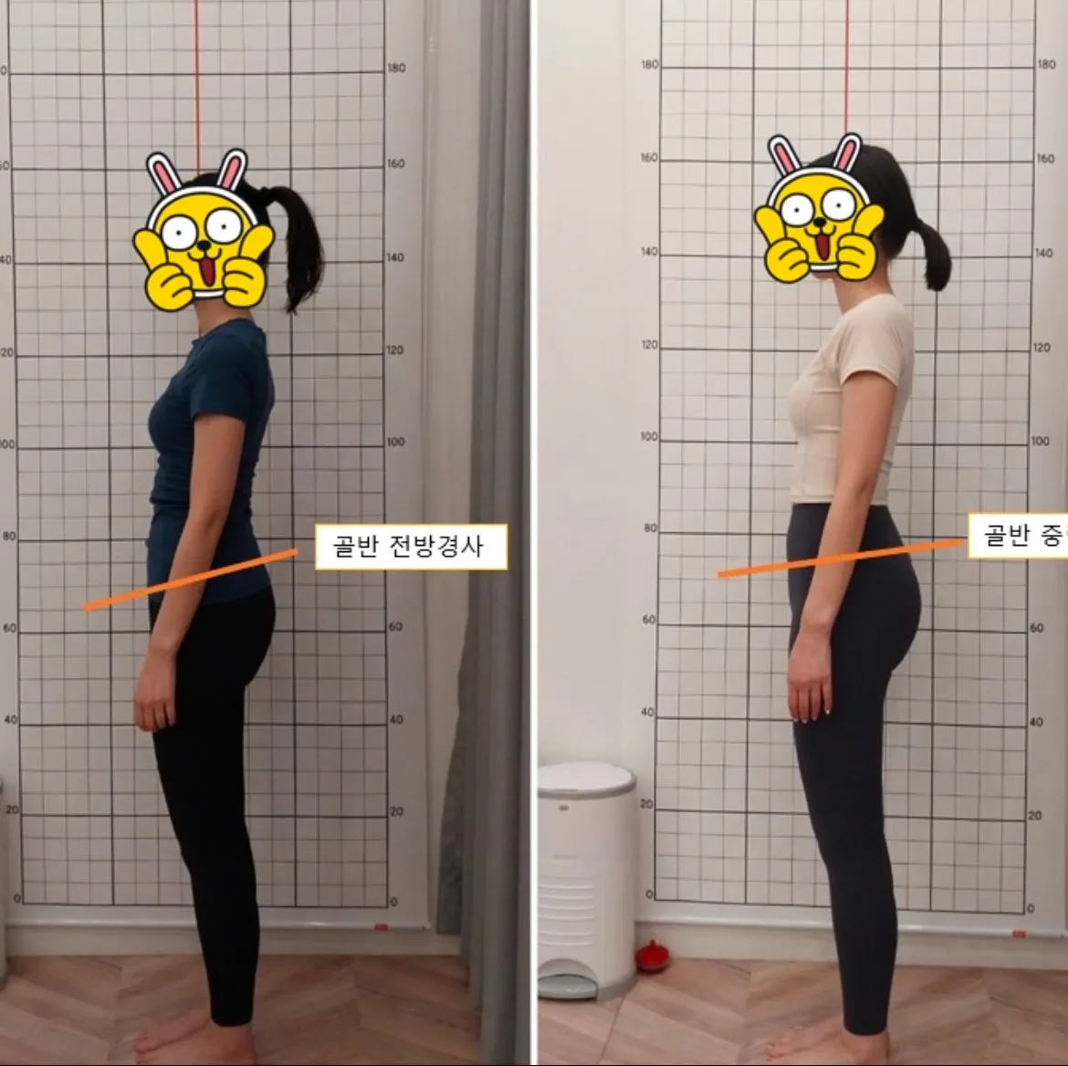 이미지 4