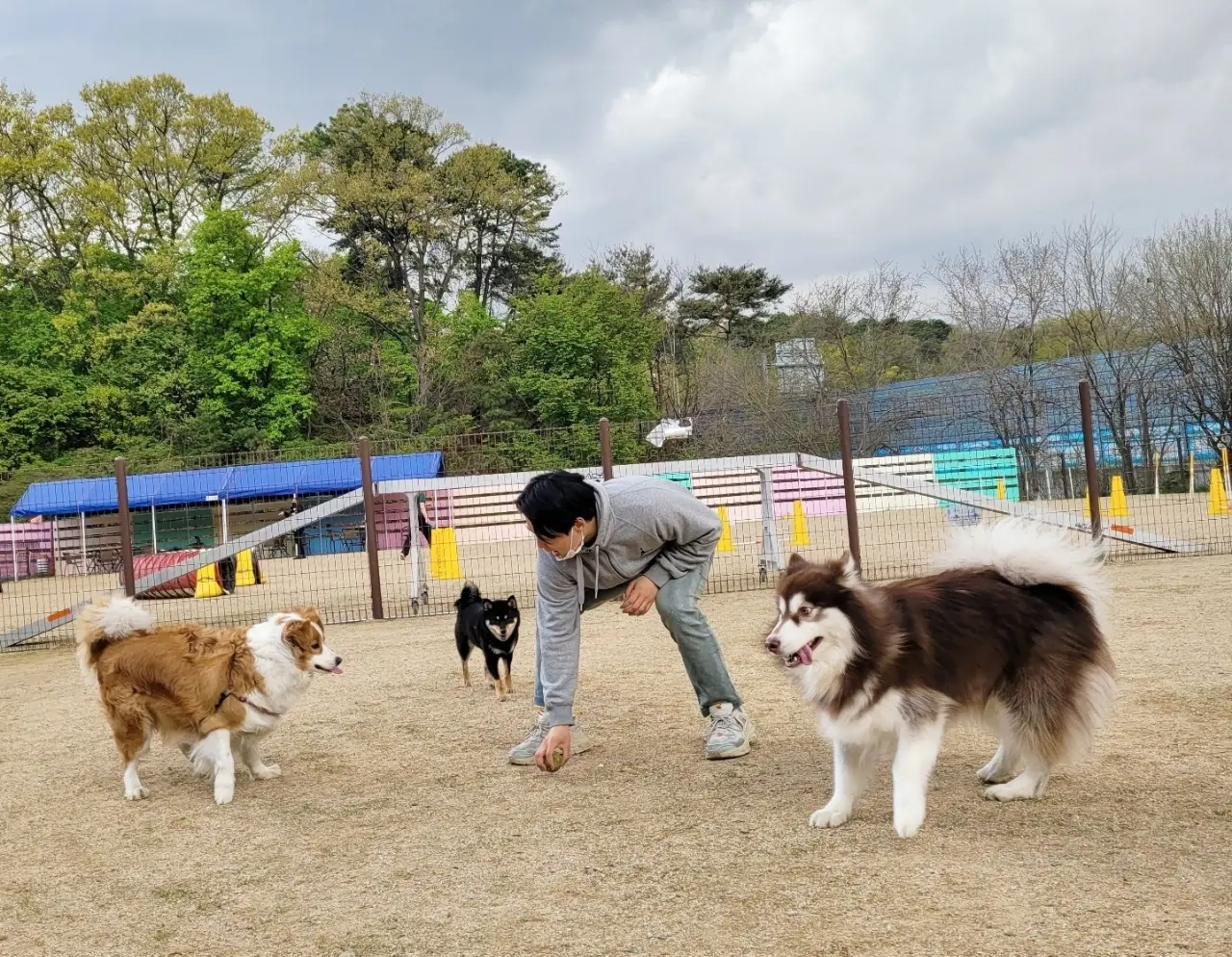 이미지 7