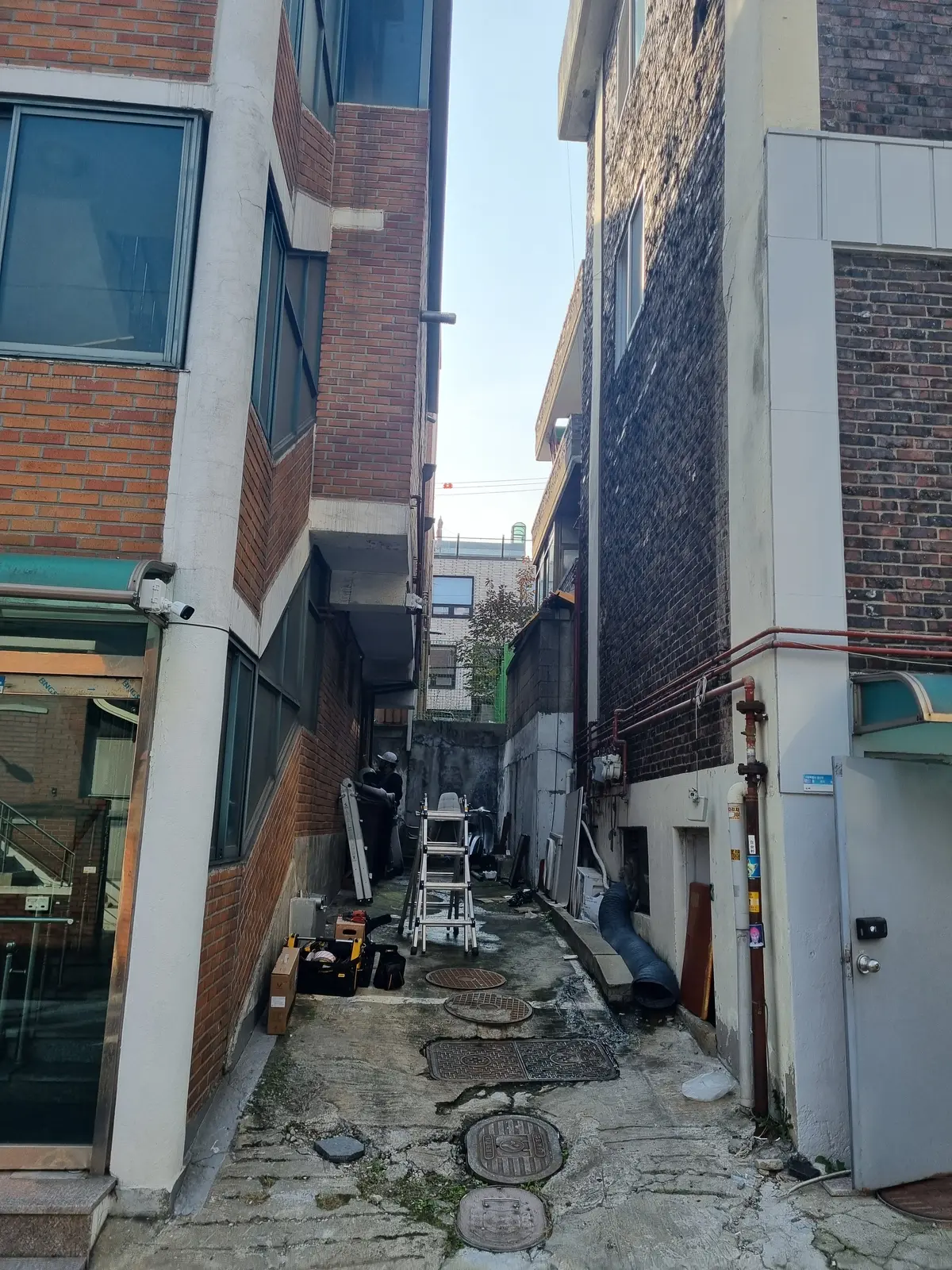 이미지 12
